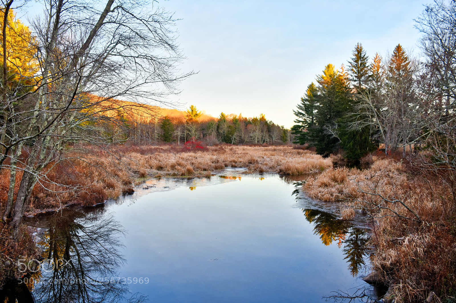 Nikon D7200 sample photo. Peaceful pond photography