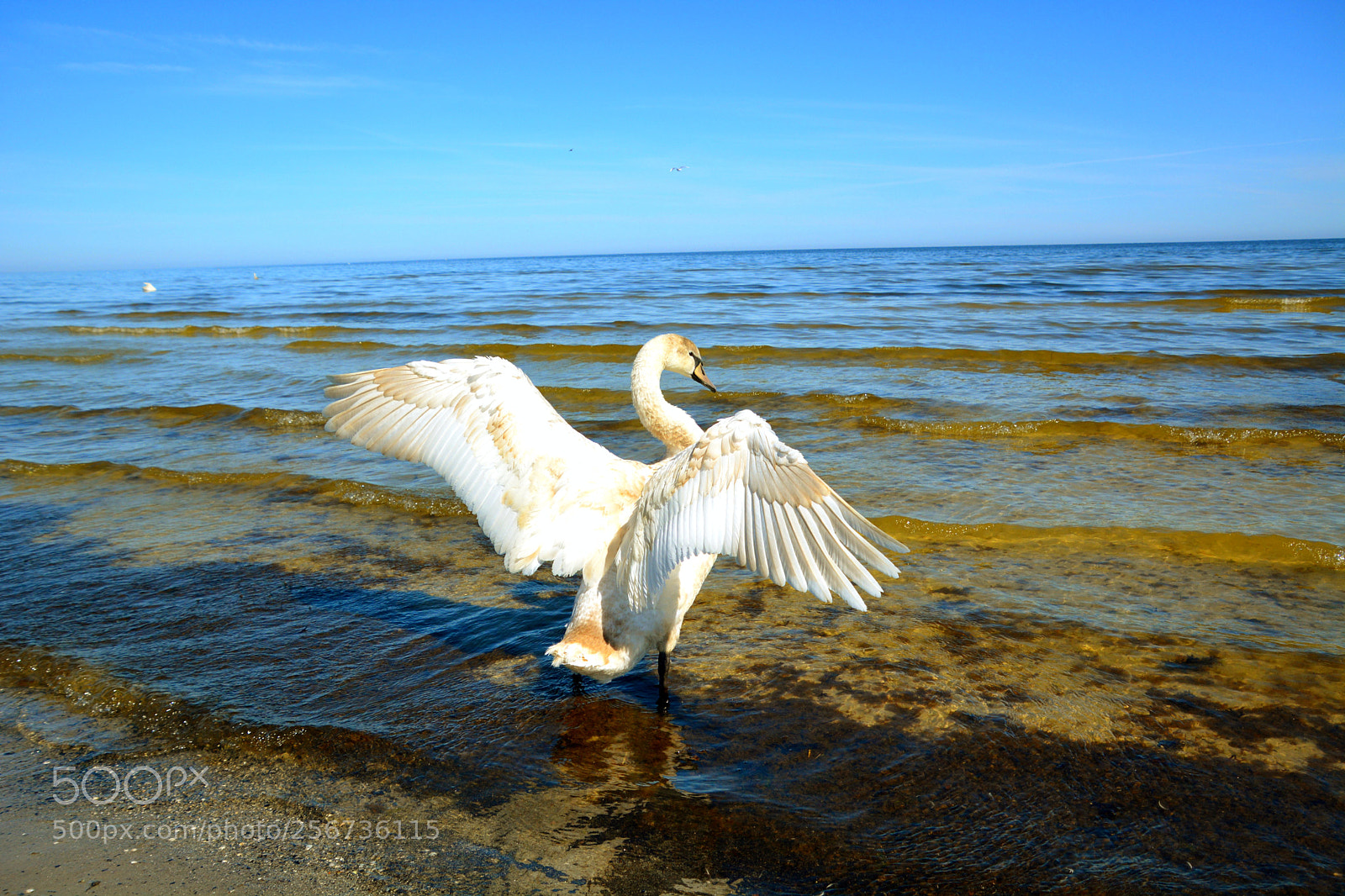 Nikon D5200 sample photo. Untitled. photography