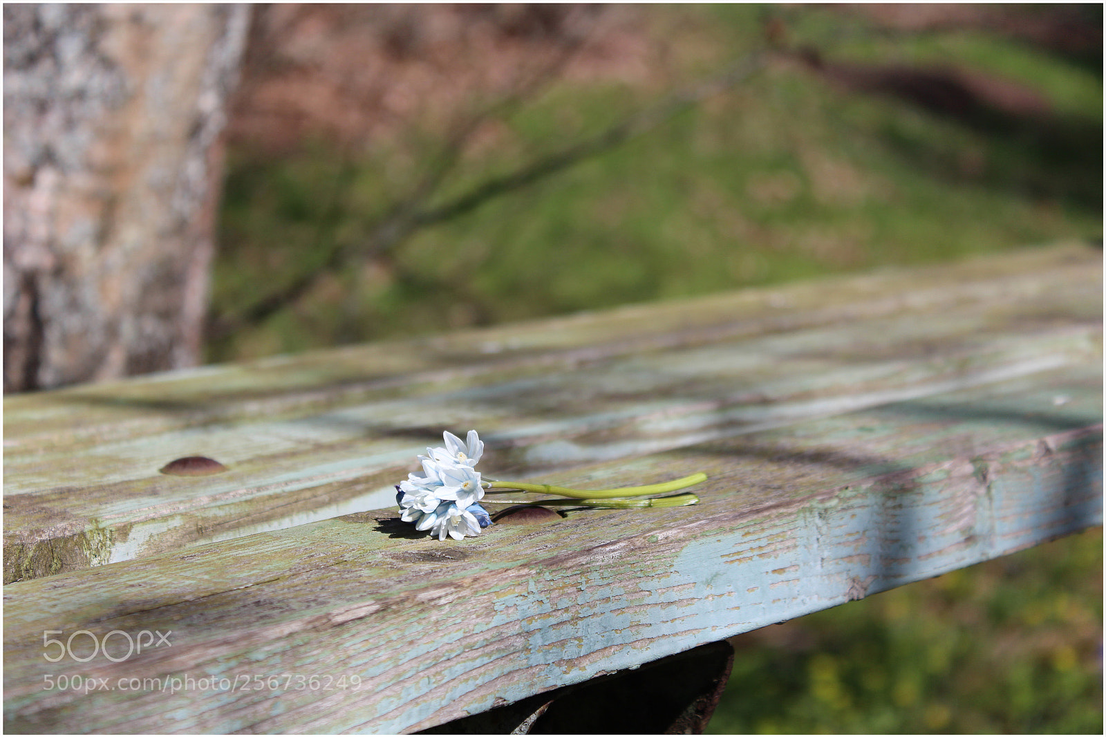 Canon EOS 650D (EOS Rebel T4i / EOS Kiss X6i) sample photo. "goodbye" photography