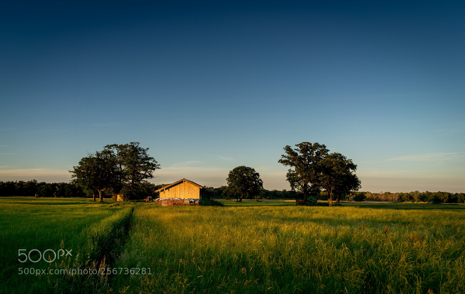 Sony a7 II sample photo. Lachsgang sunset stroll photography
