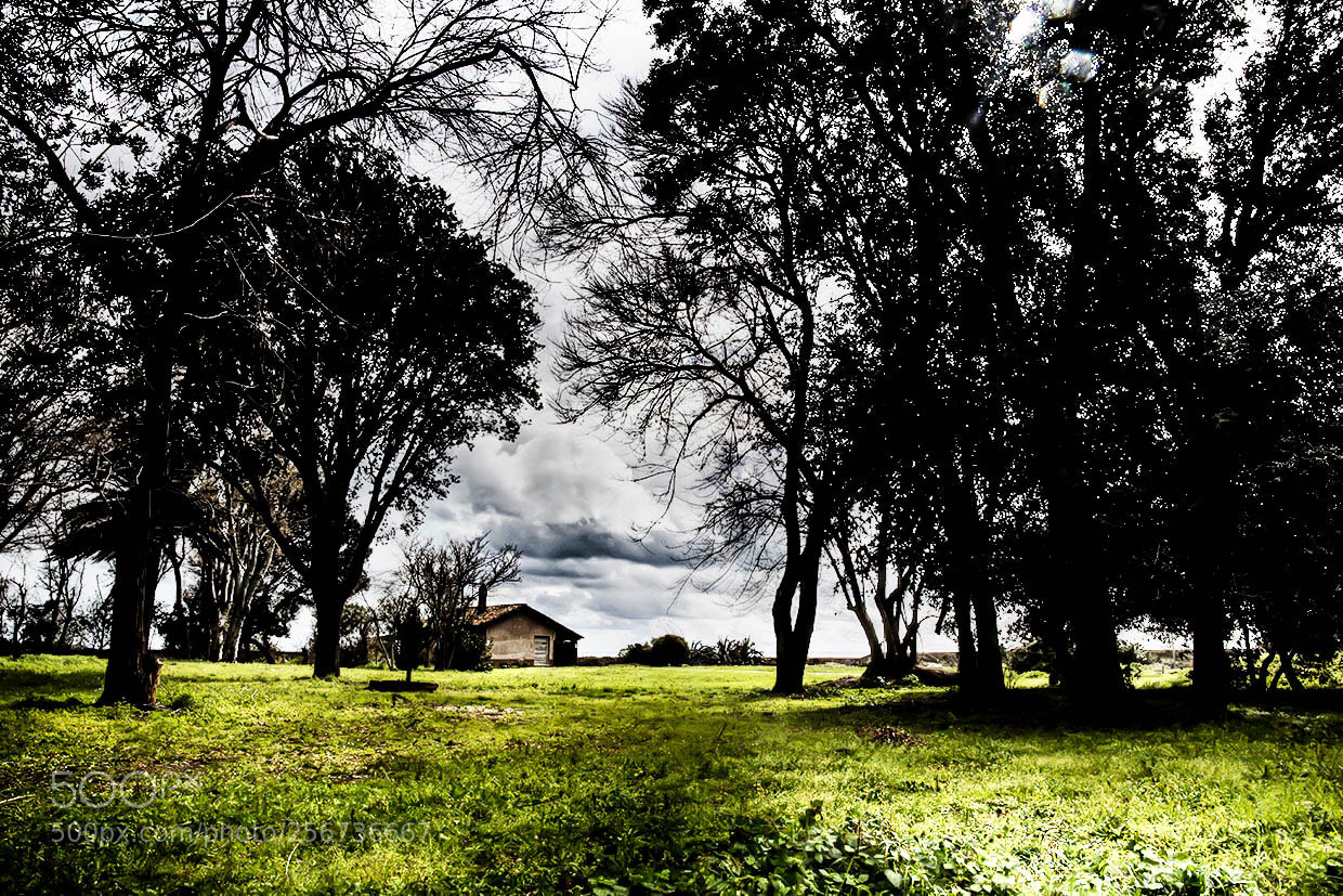 Canon EOS 6D sample photo. Untitled photography