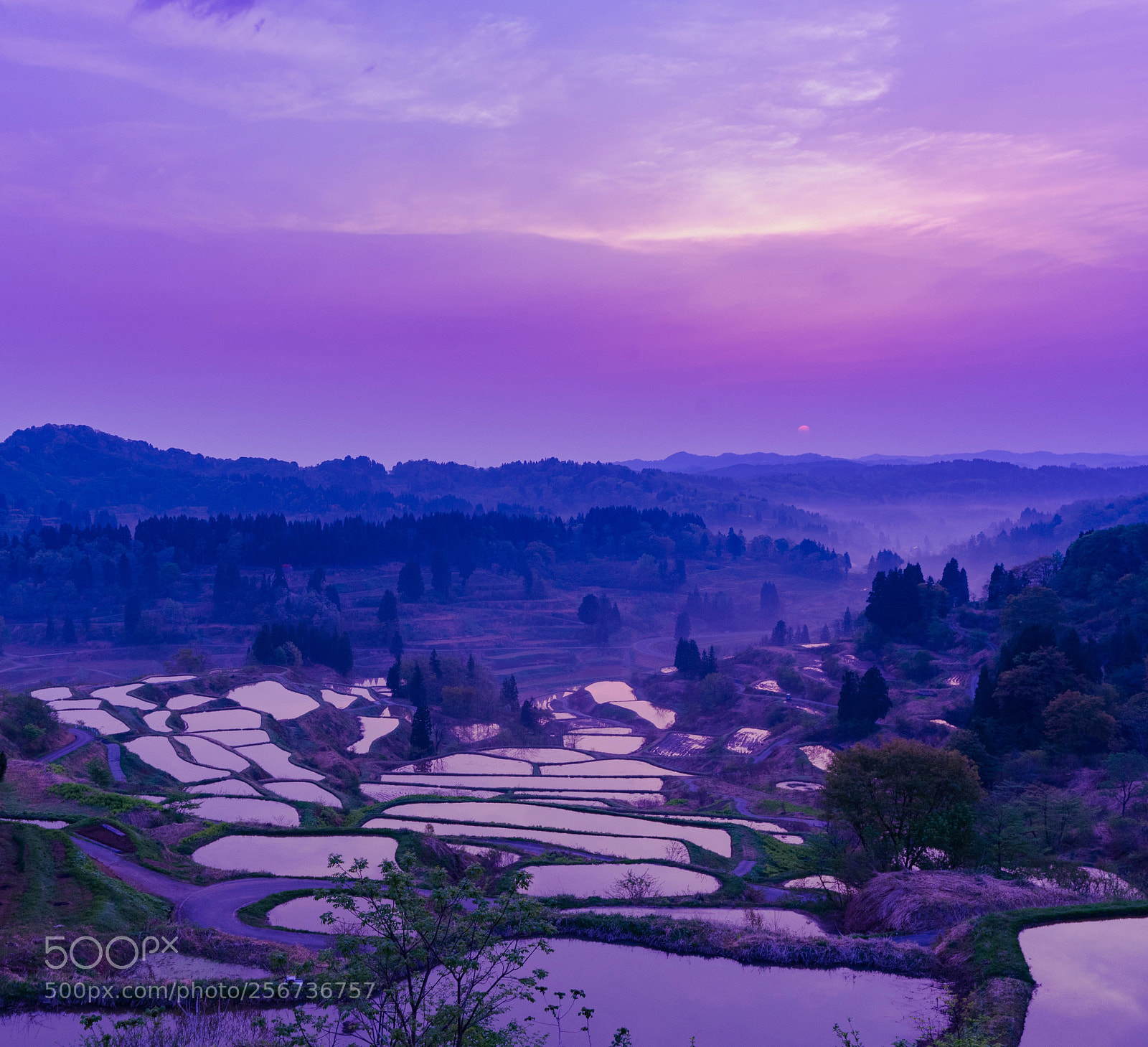 Sony a7 II sample photo. Daybreak of ricefield photography