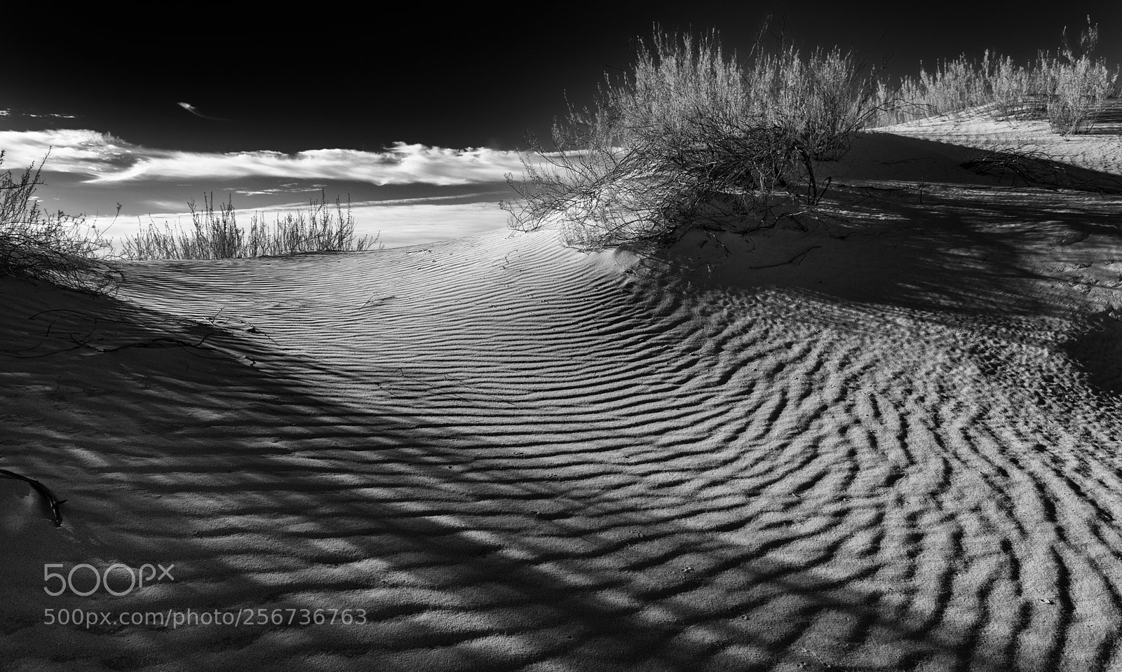 Canon EOS 5D Mark II sample photo. Shadows and light photography