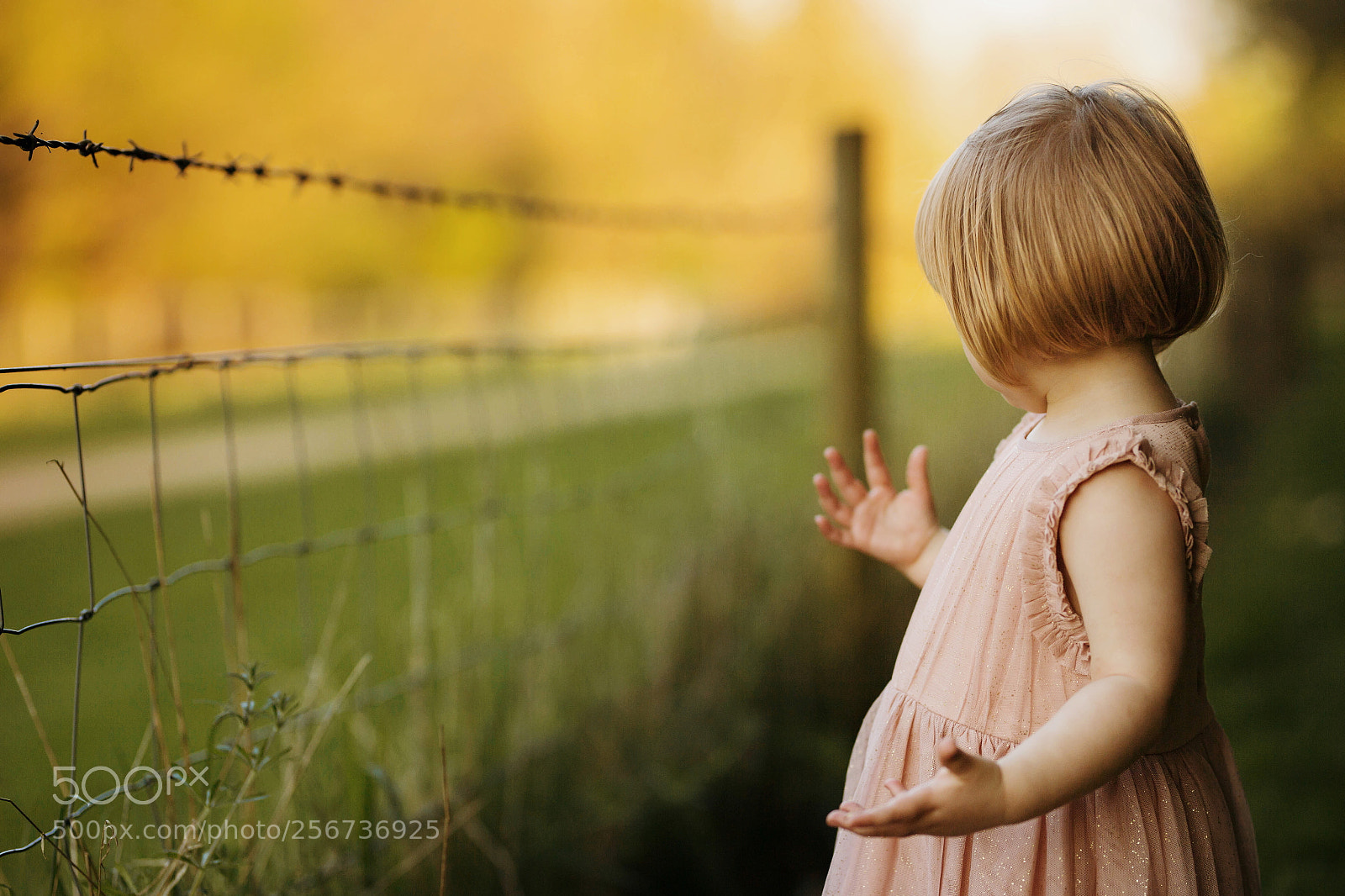 Canon EOS 6D sample photo. Untitled photography