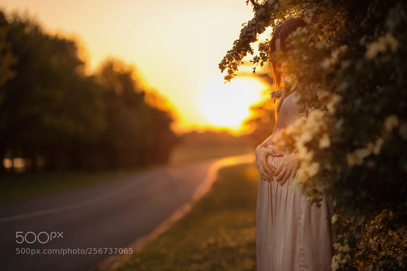 Canon EOS 6D sample photo. Untitled photography