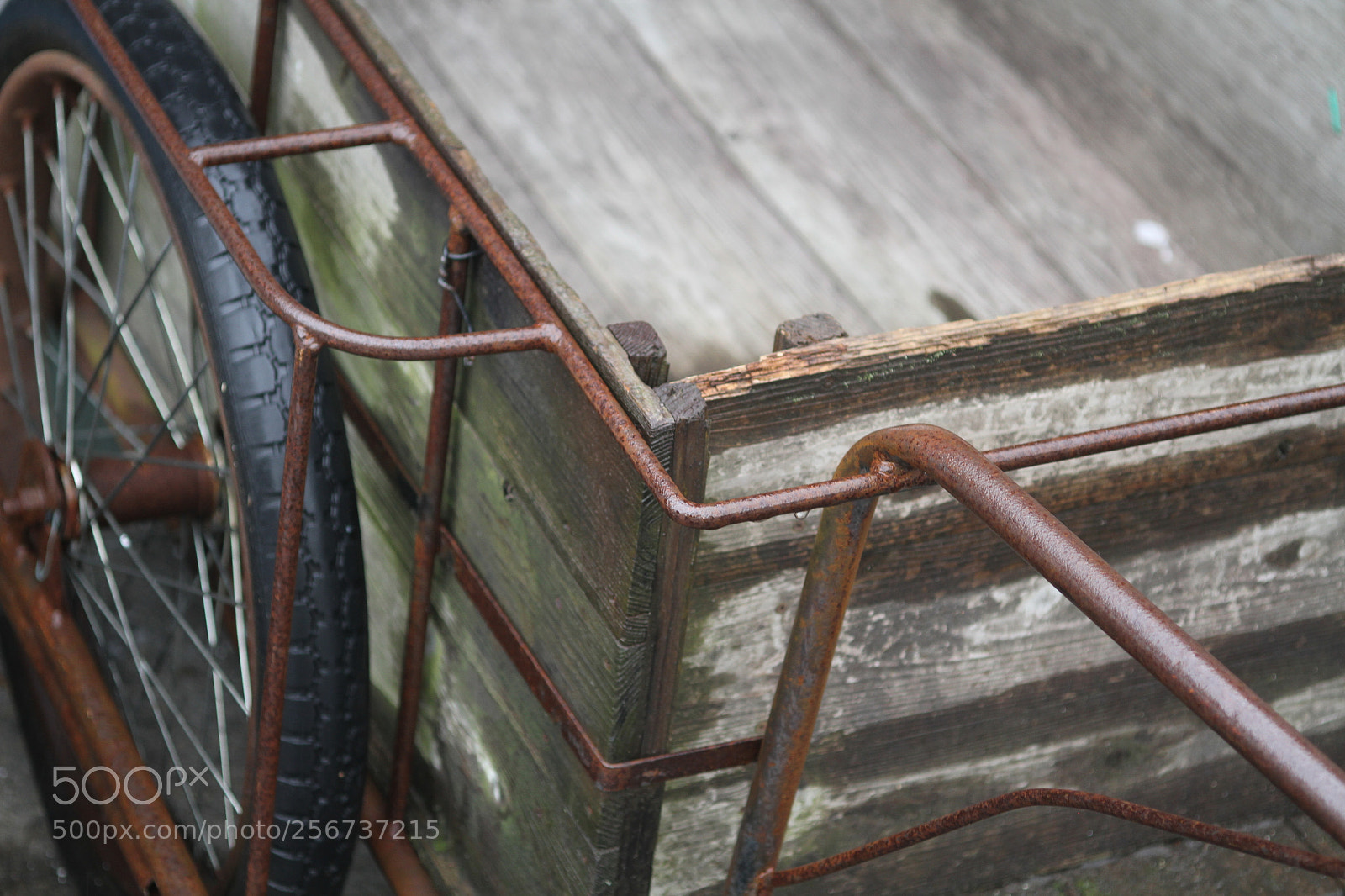 Canon EOS 7D + Canon EF 50mm F1.8 II sample photo. Old cart photography