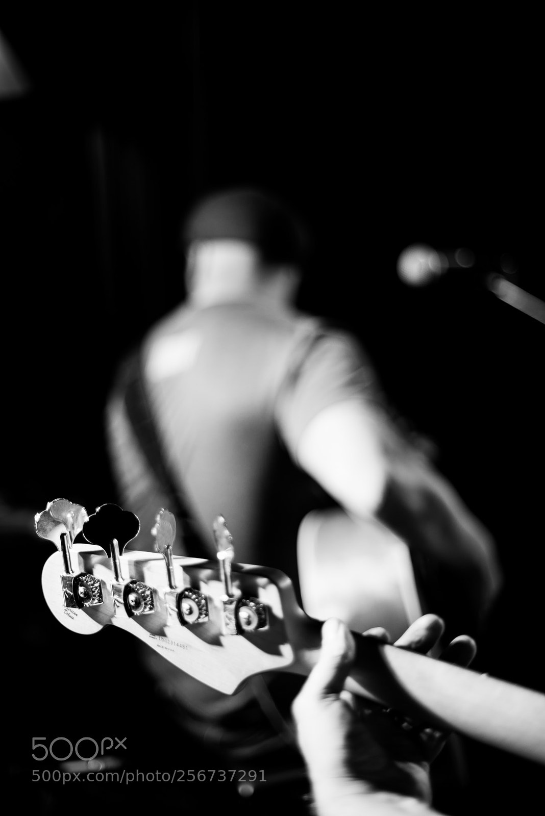 Nikon D600 sample photo. Gig exp photography