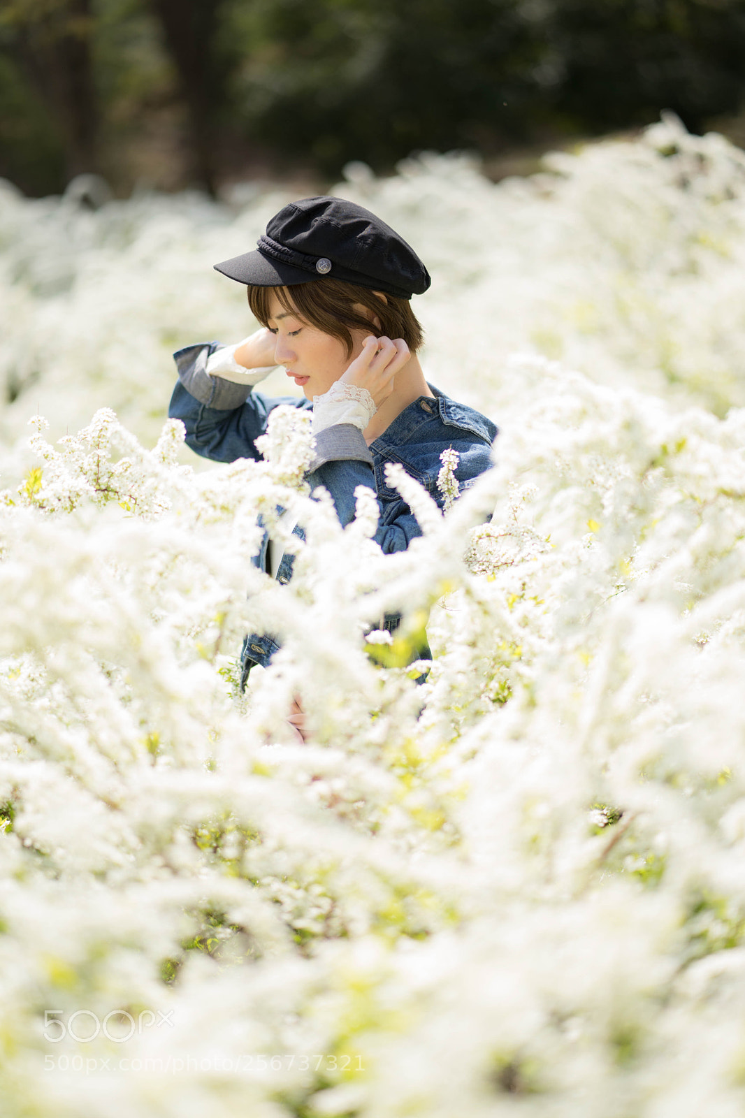 Sony a7 II sample photo. Dsc photography