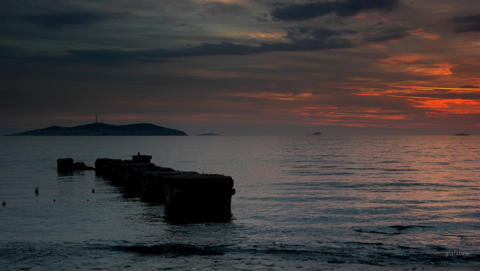 Samsung NX1 sample photo. ... photography