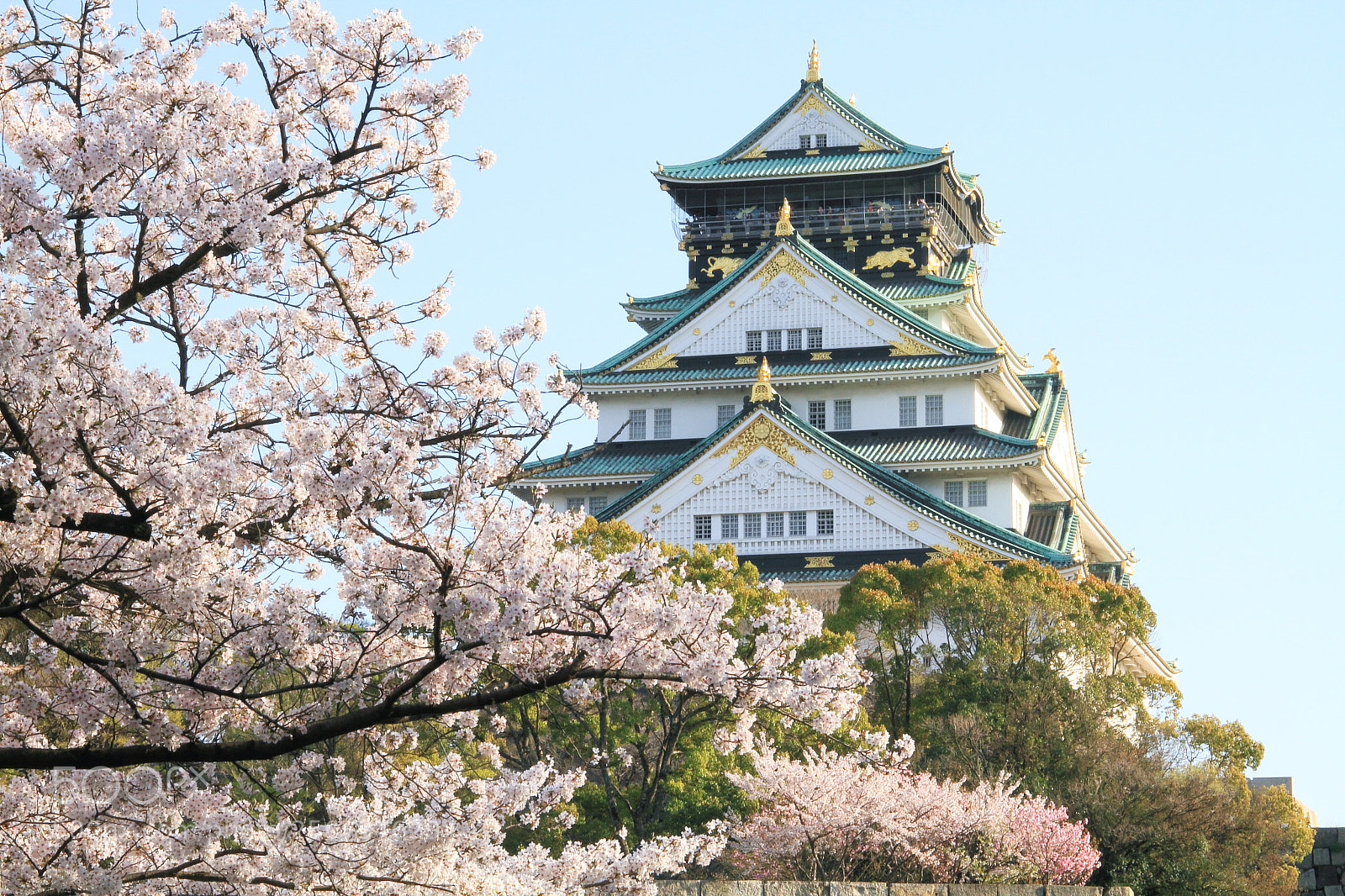 Canon EOS 7D + Canon EF 50mm F1.8 II sample photo. Osaka castle photography