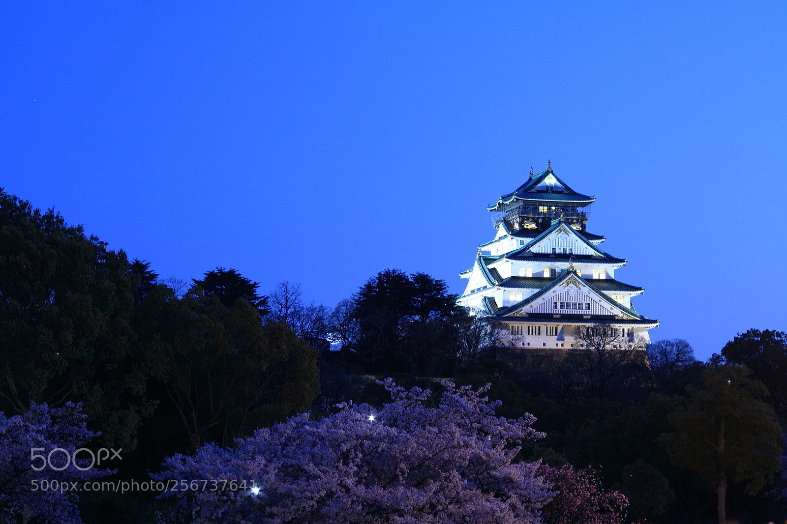 Canon EOS 7D + Canon EF 50mm F1.8 II sample photo. Osaka castle photography