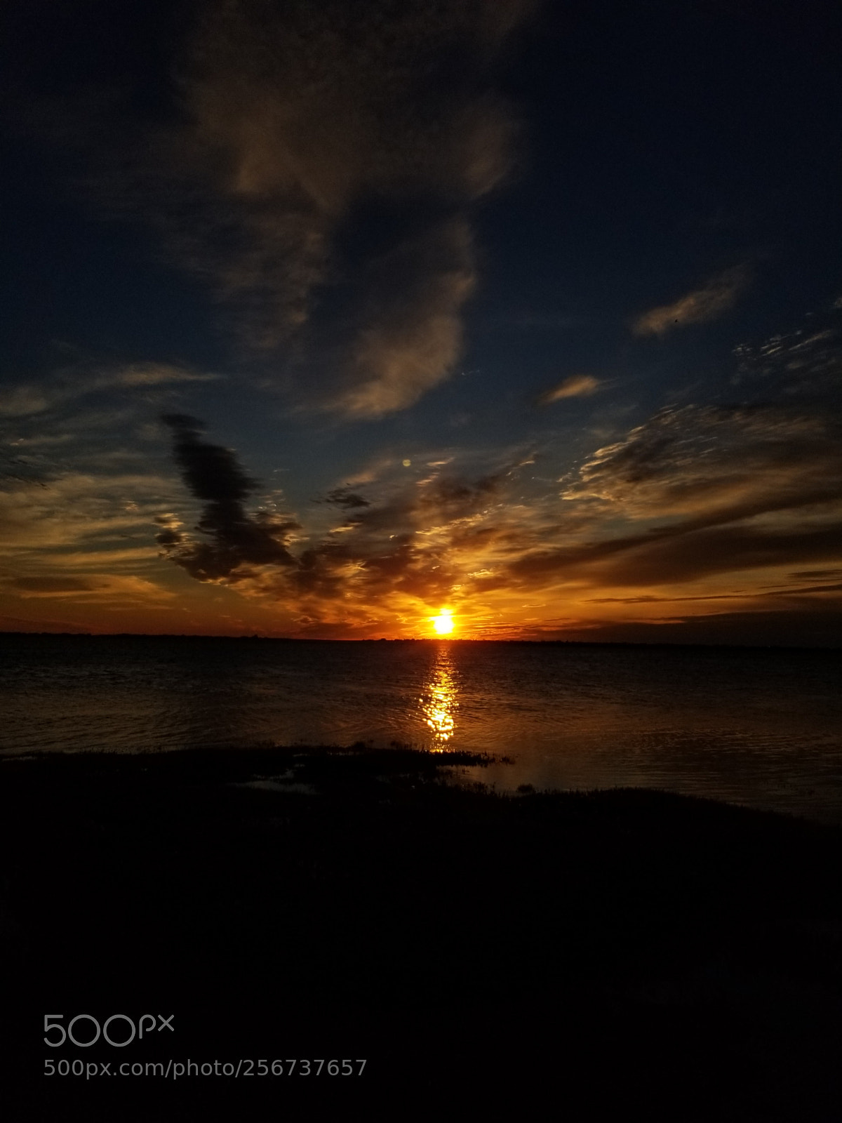 Samsung Galaxy S8 sample photo. Earth is filled with photography