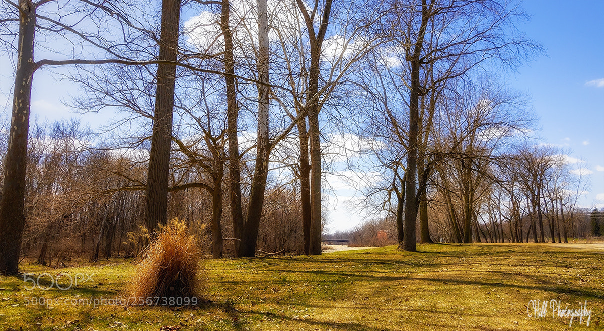 Canon EOS 650D (EOS Rebel T4i / EOS Kiss X6i) sample photo. By the river photography