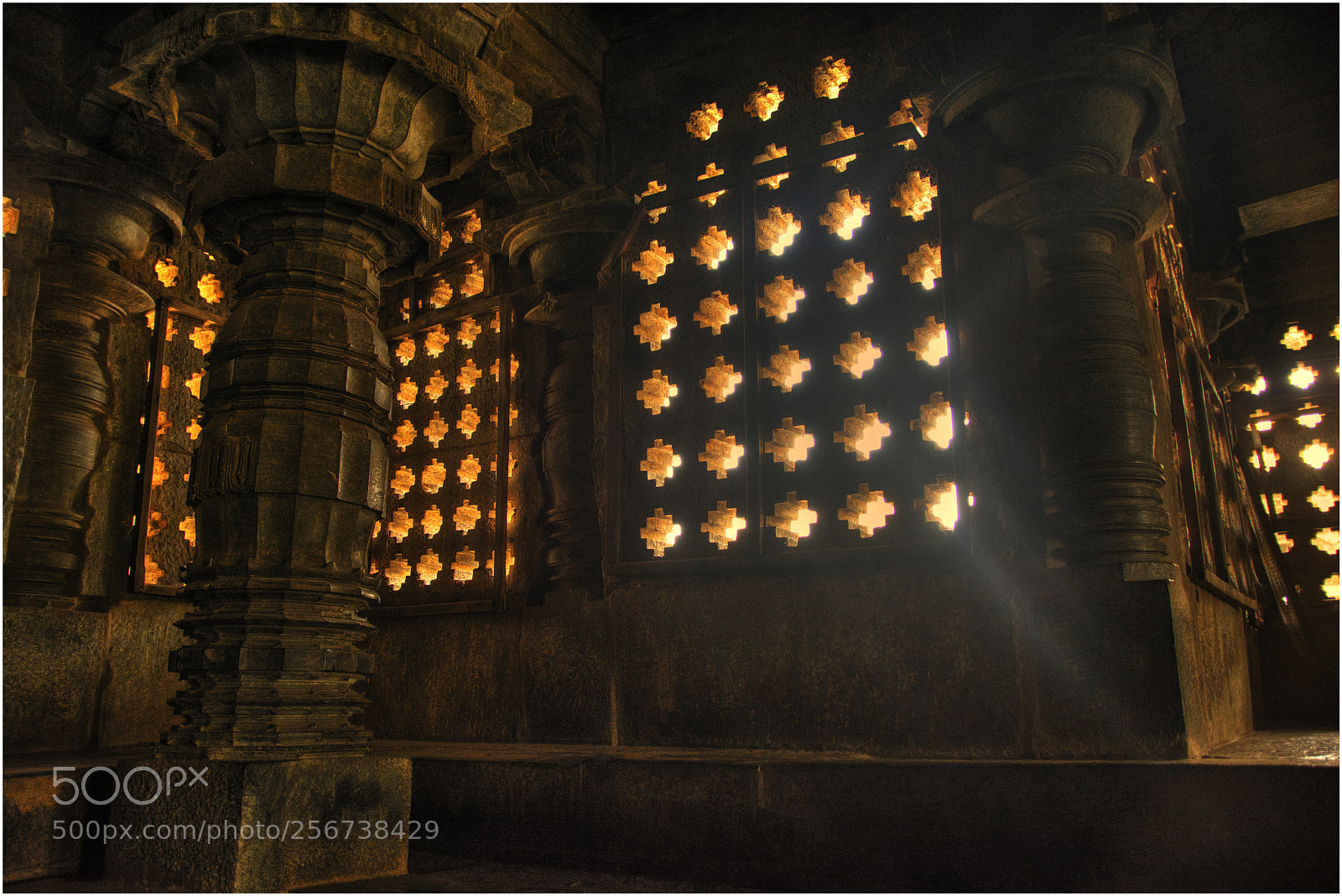 Nikon D7100 sample photo. In quest of light! photography