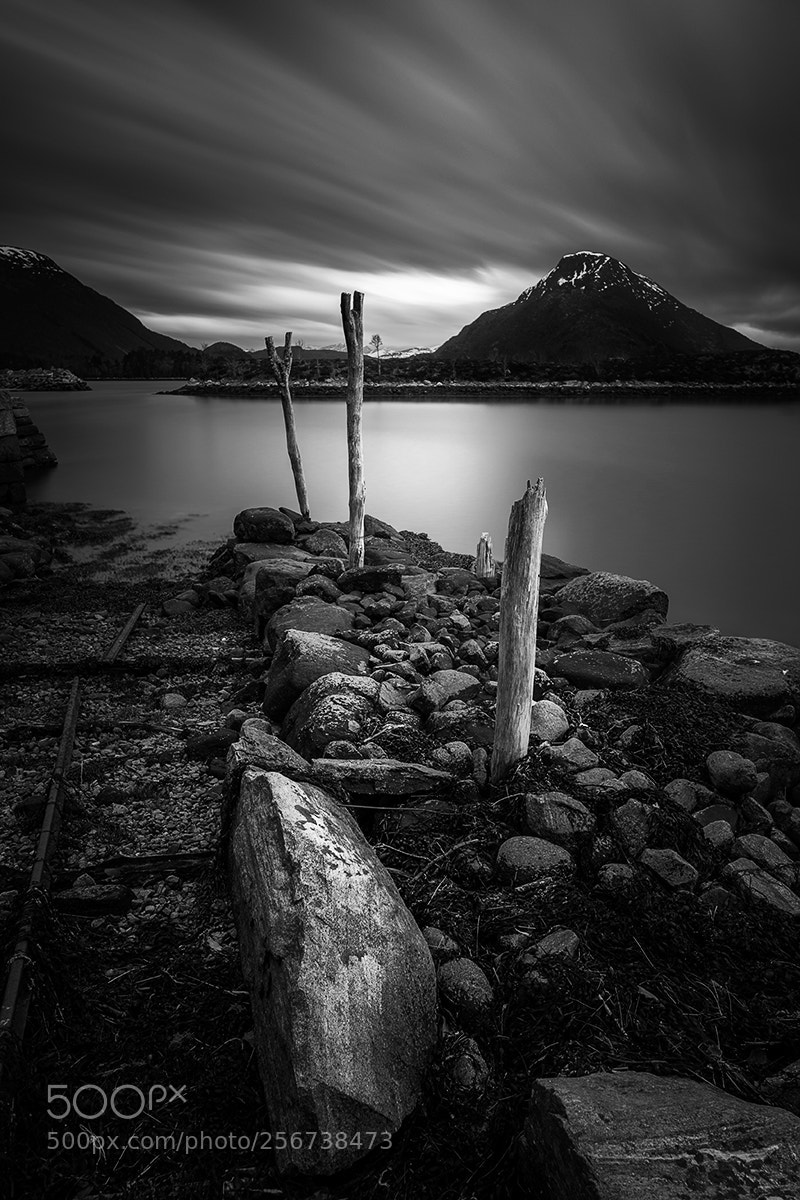 Nikon D750 sample photo. Bw photography