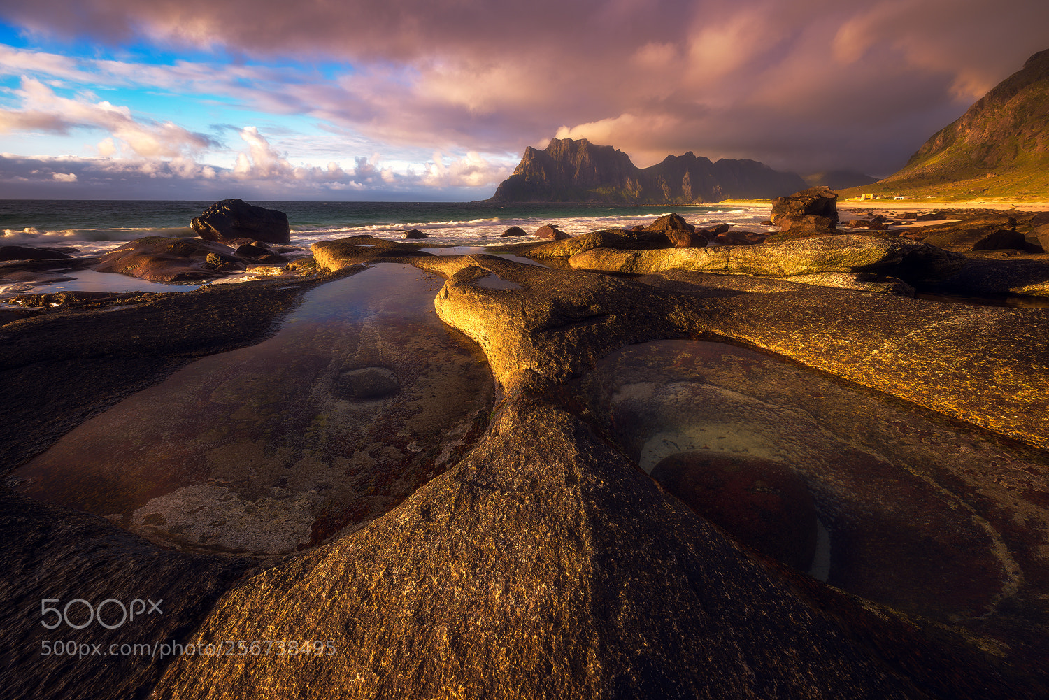 Nikon D810 sample photo. Golden evening in northern photography