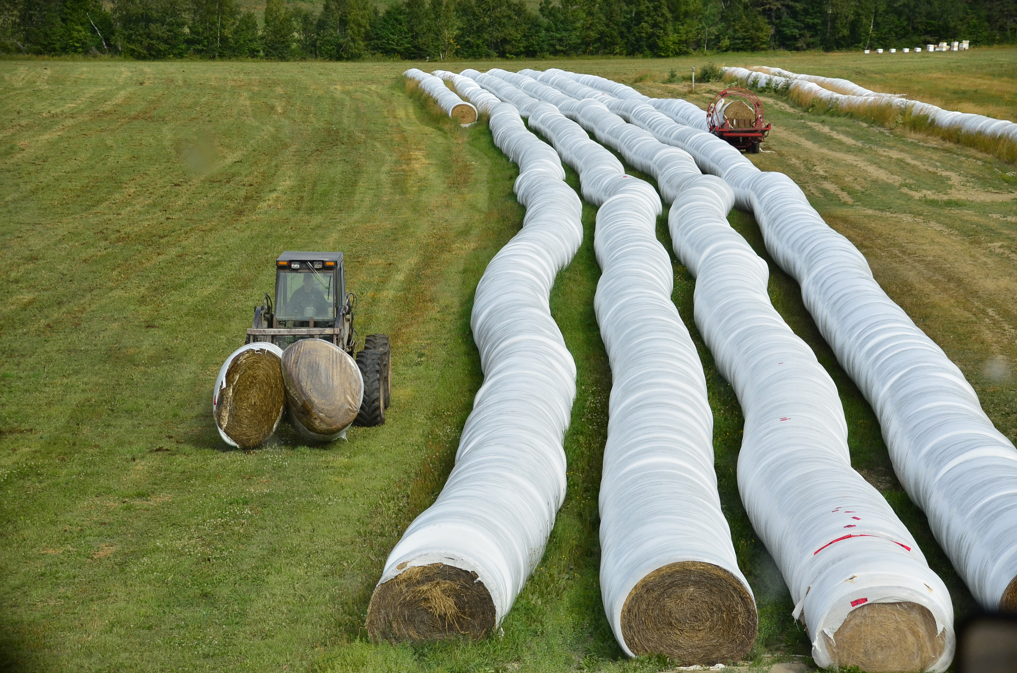 Nikon D7000 sample photo. Working in the farm  photography