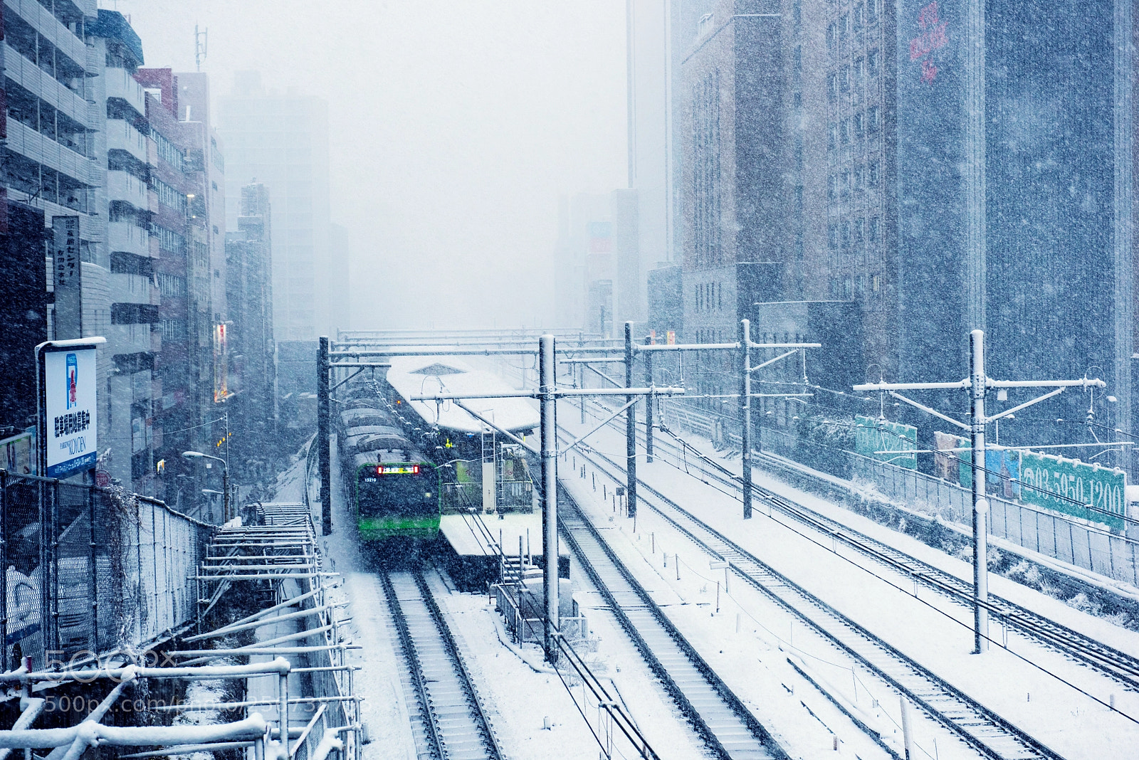 Nikon D810 sample photo. 東京大雪 photography