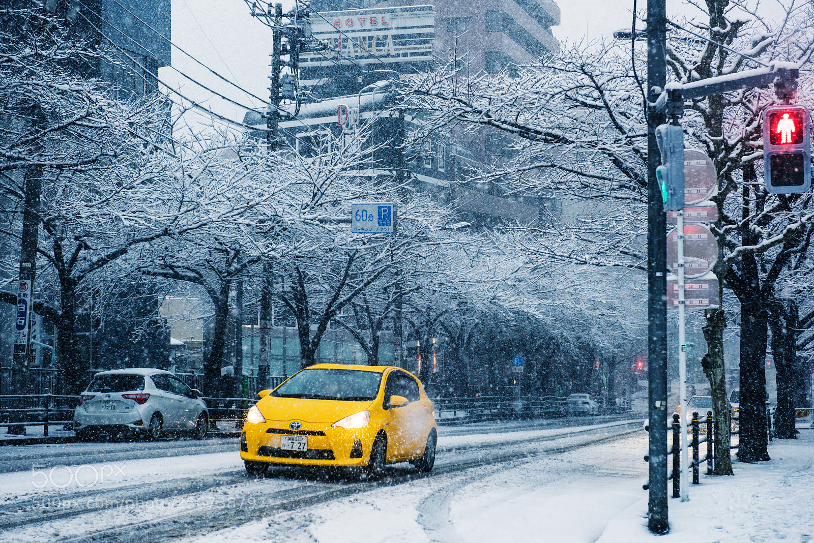 Nikon D810 sample photo. 東京大雪 photography