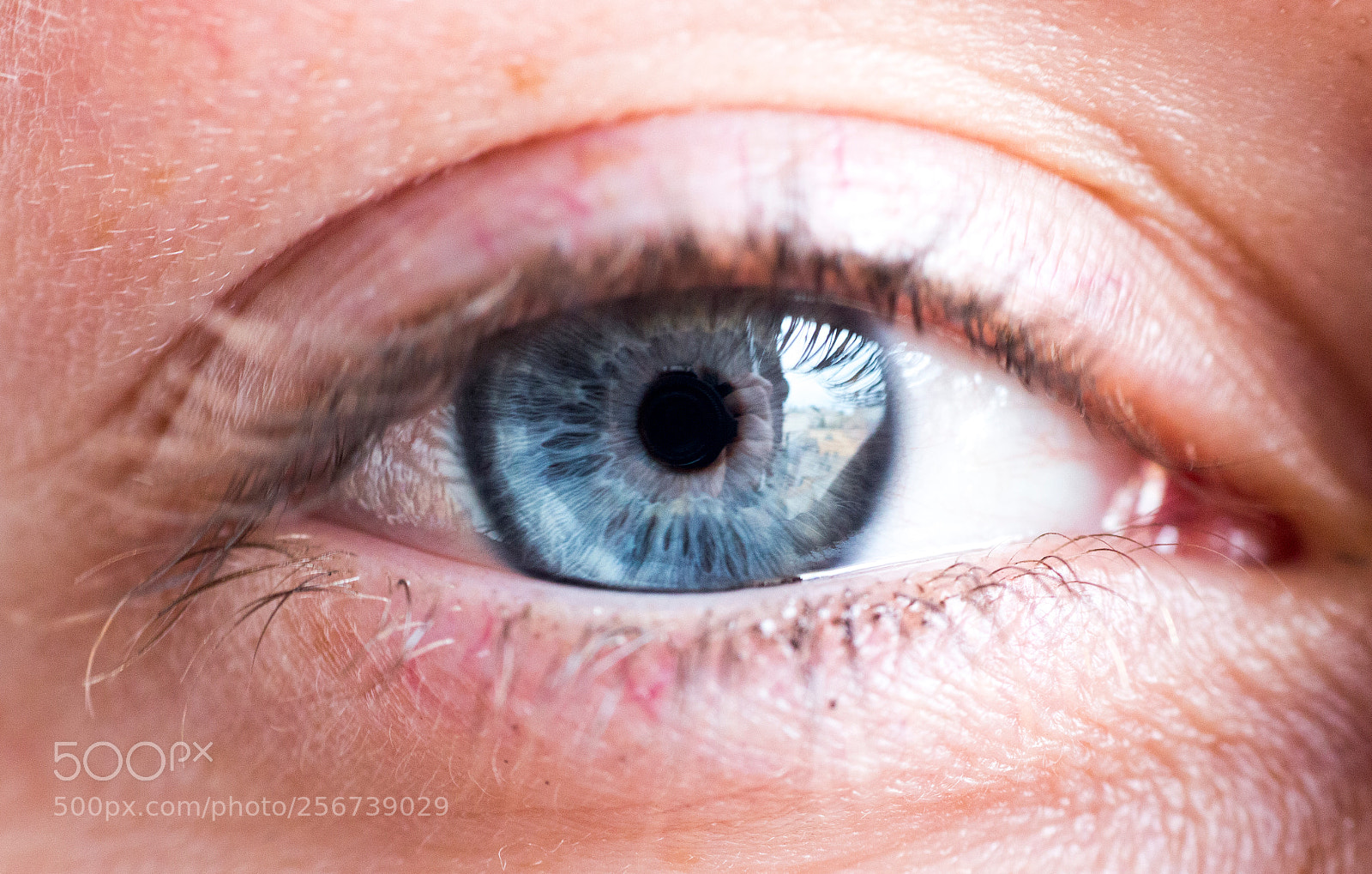 Canon EOS 70D sample photo. Behind blue eye s photography