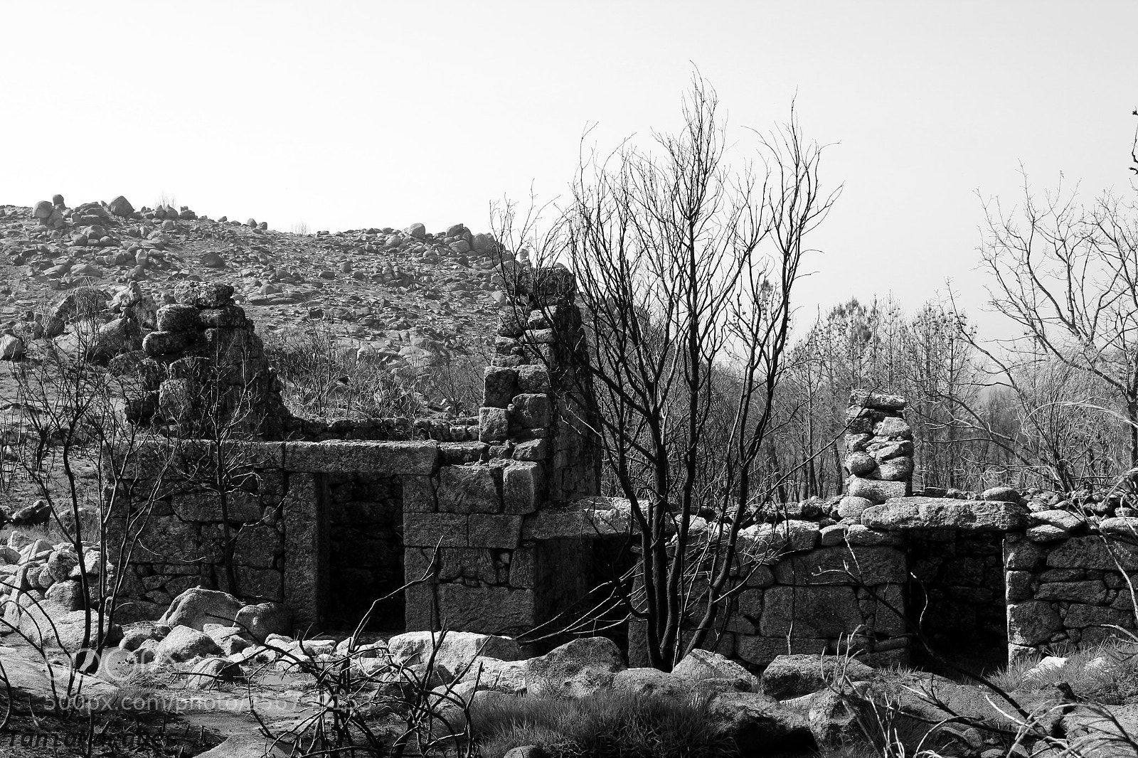 Canon EOS 700D (EOS Rebel T5i / EOS Kiss X7i) sample photo. House in ruins photography