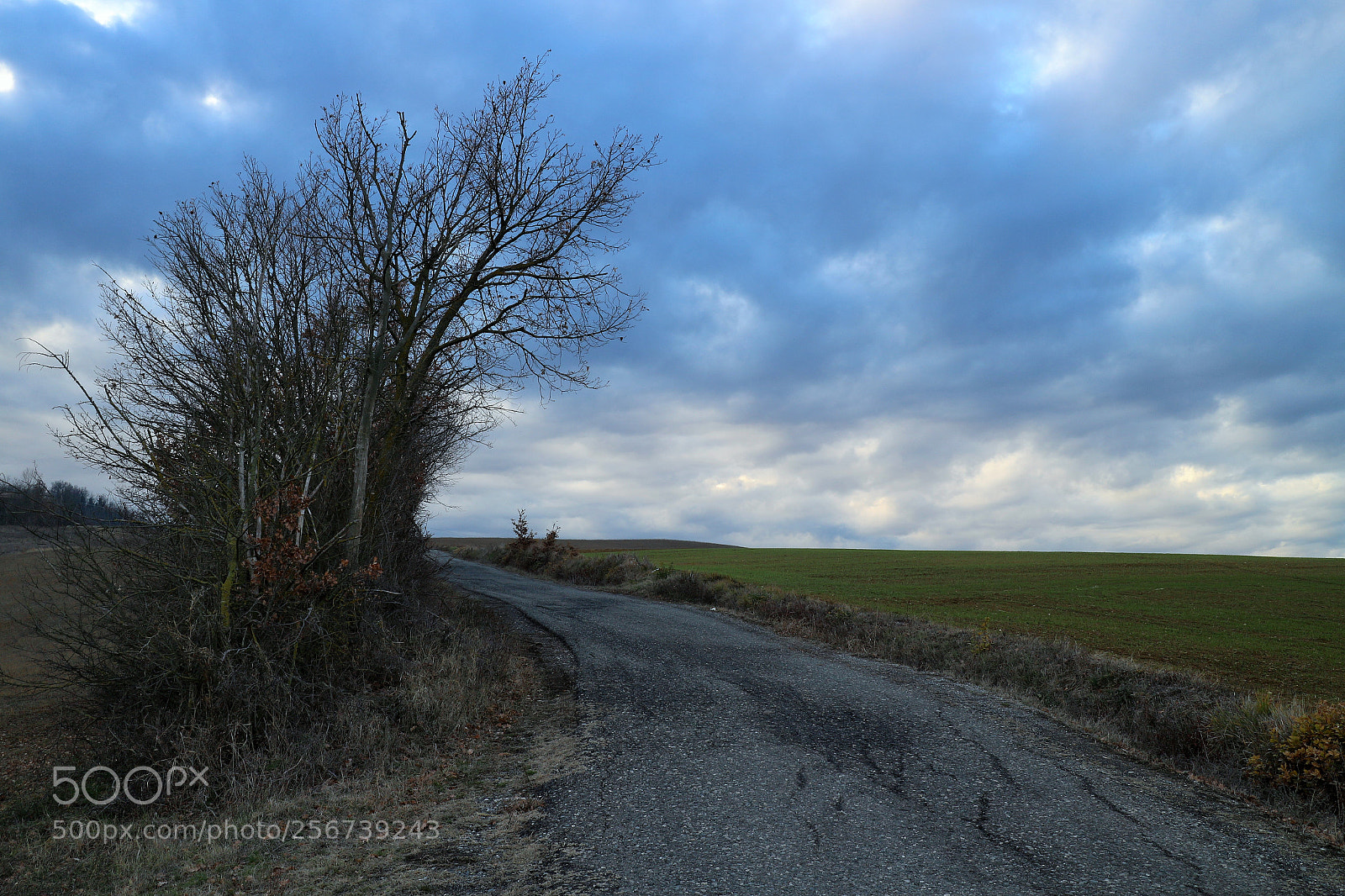 Canon EOS M10 sample photo. Hills road photography