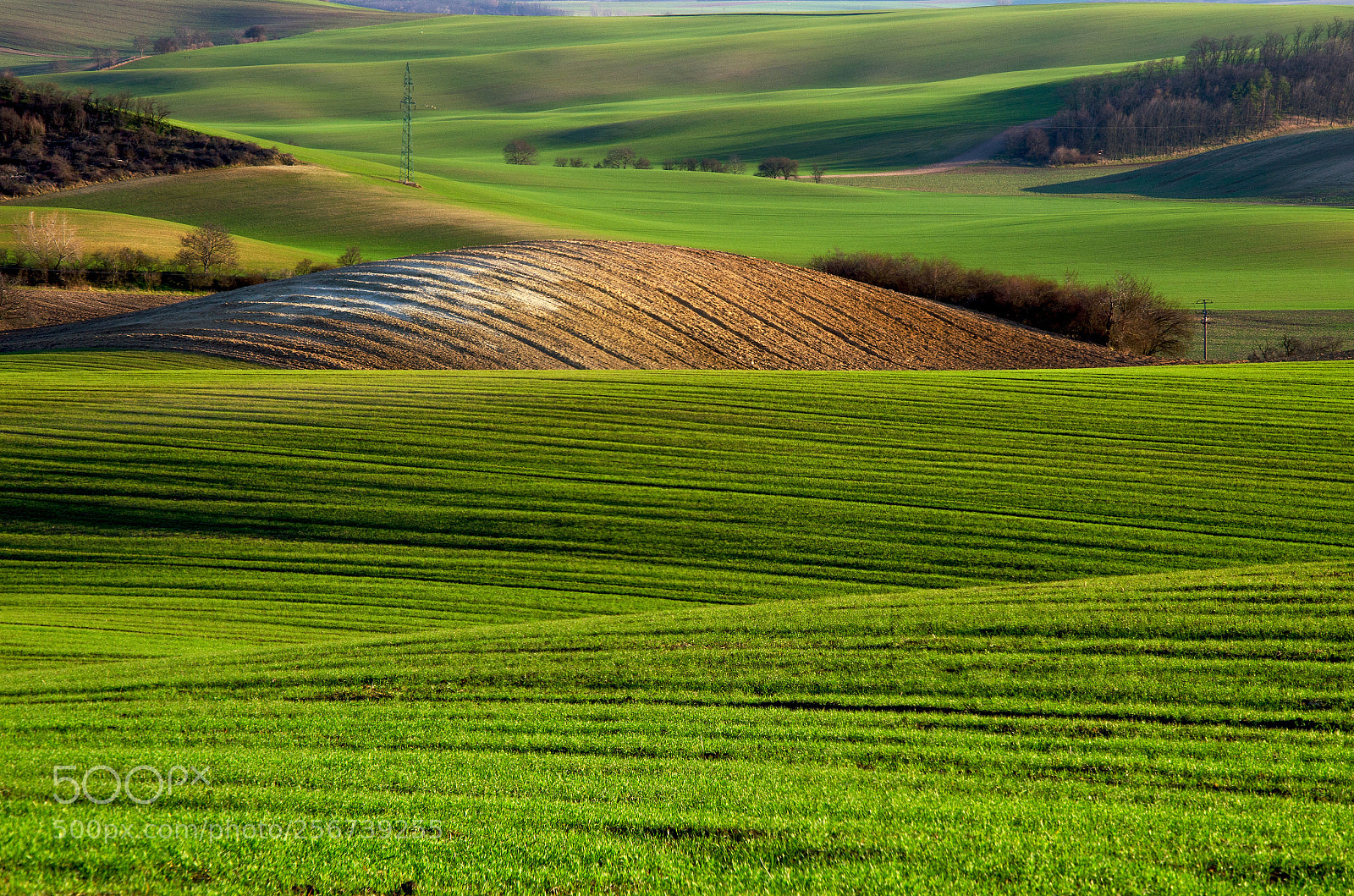Nikon D5100 sample photo. Moravian fields photography