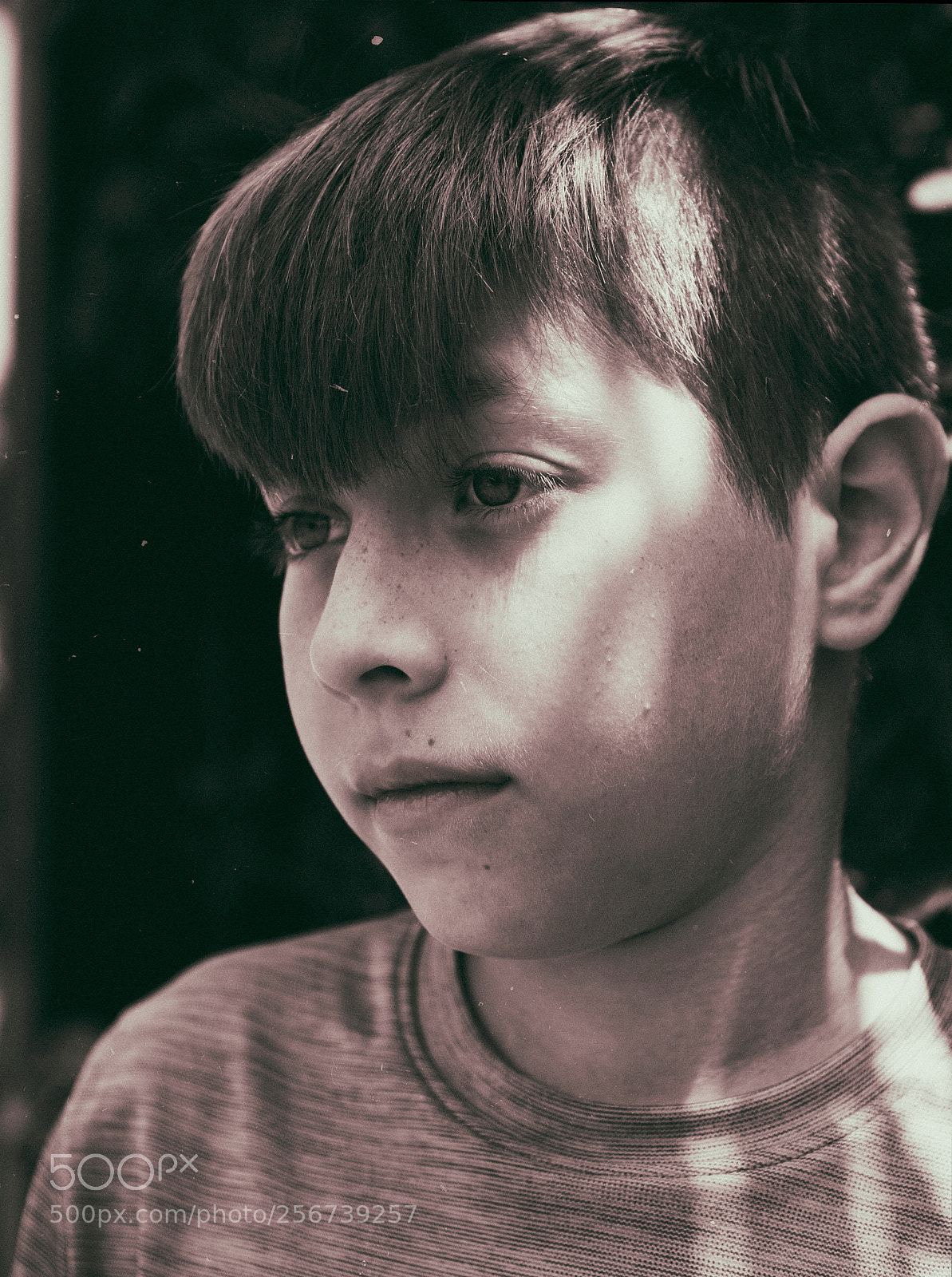 Sony a7R II sample photo. A boy photography