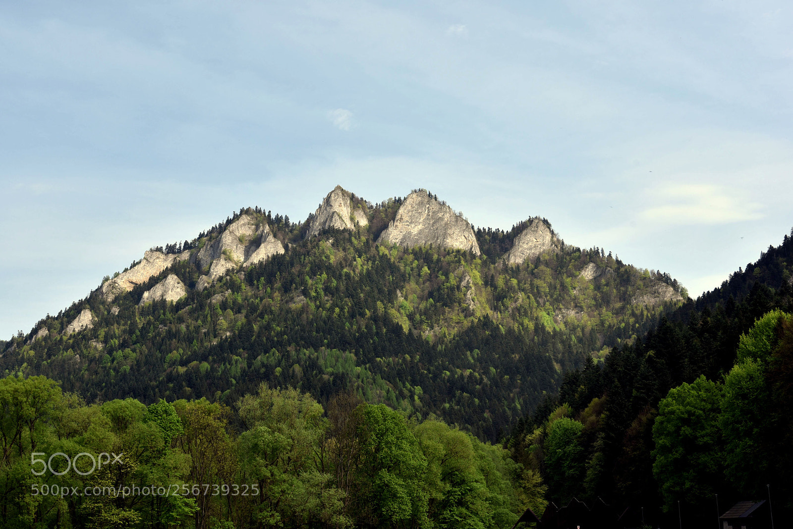 Nikon AF-S Nikkor 24-120mm F4G ED VR sample photo. Trzy korony photography