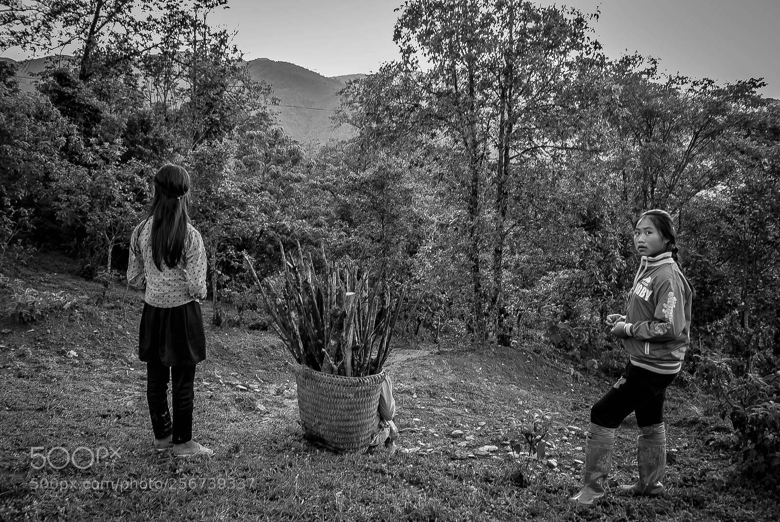 Nikon D80 sample photo. Girls and sticks photography