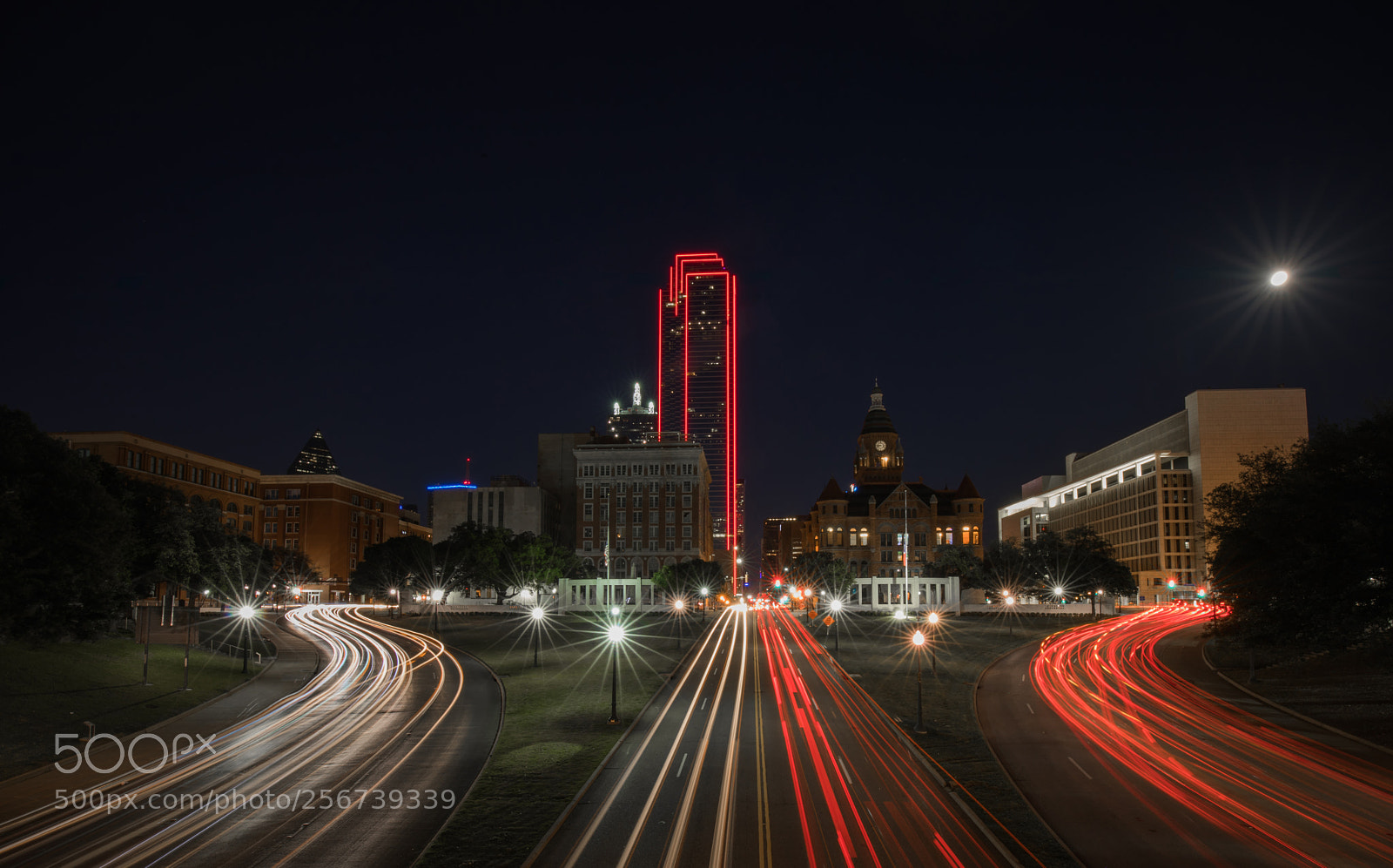 Canon EOS 5D Mark IV sample photo. Dallas dressed in red photography
