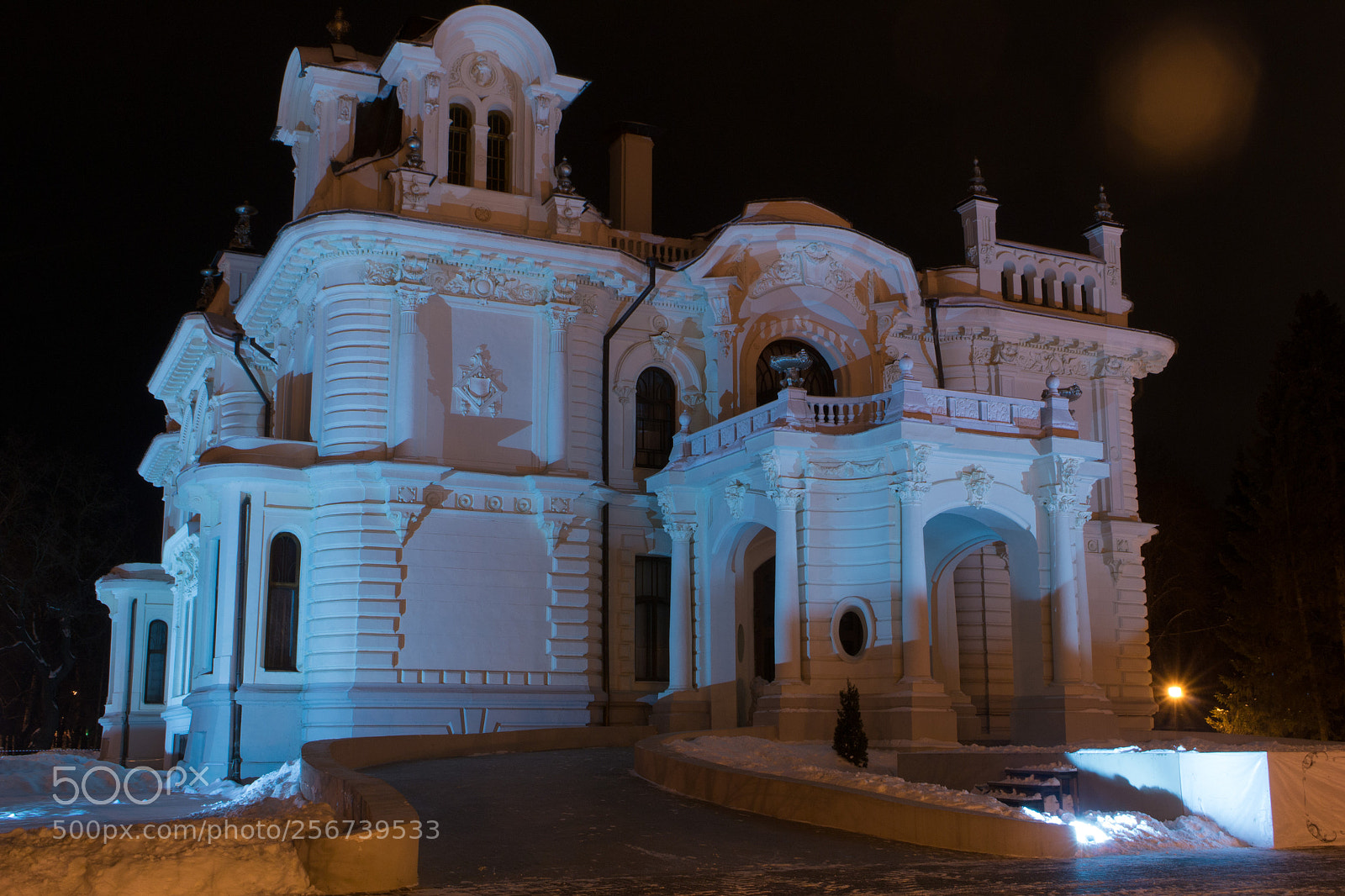 Nikon D3100 sample photo. Aseyev's palace photography