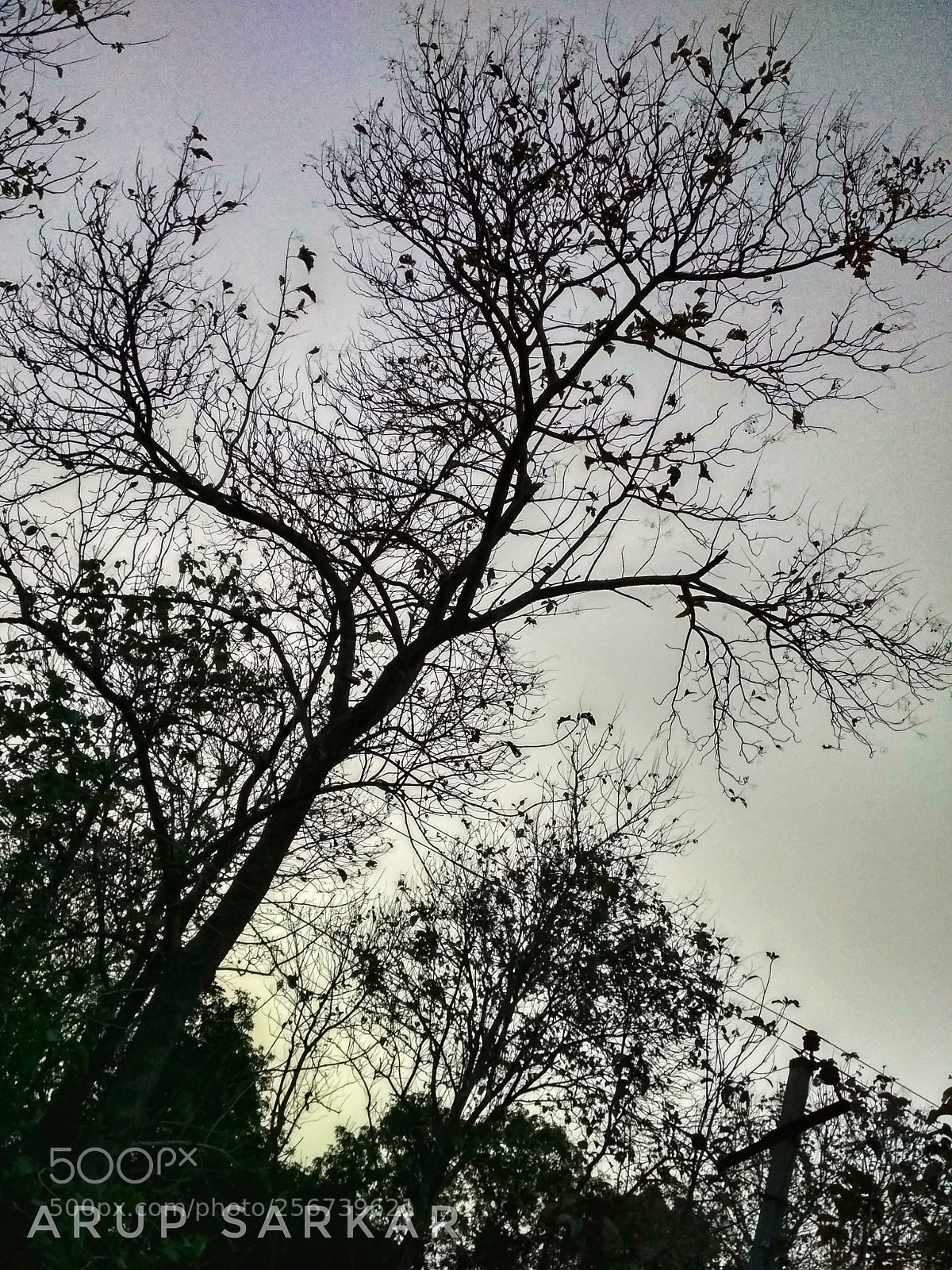 Xiaomi Redmi 4 Pro sample photo. Bye sun.. come back photography