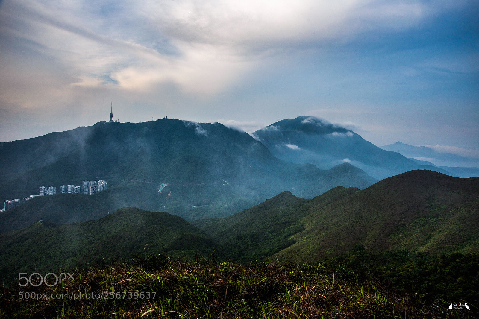 Nikon D800E sample photo. Flogs and mountain  photography