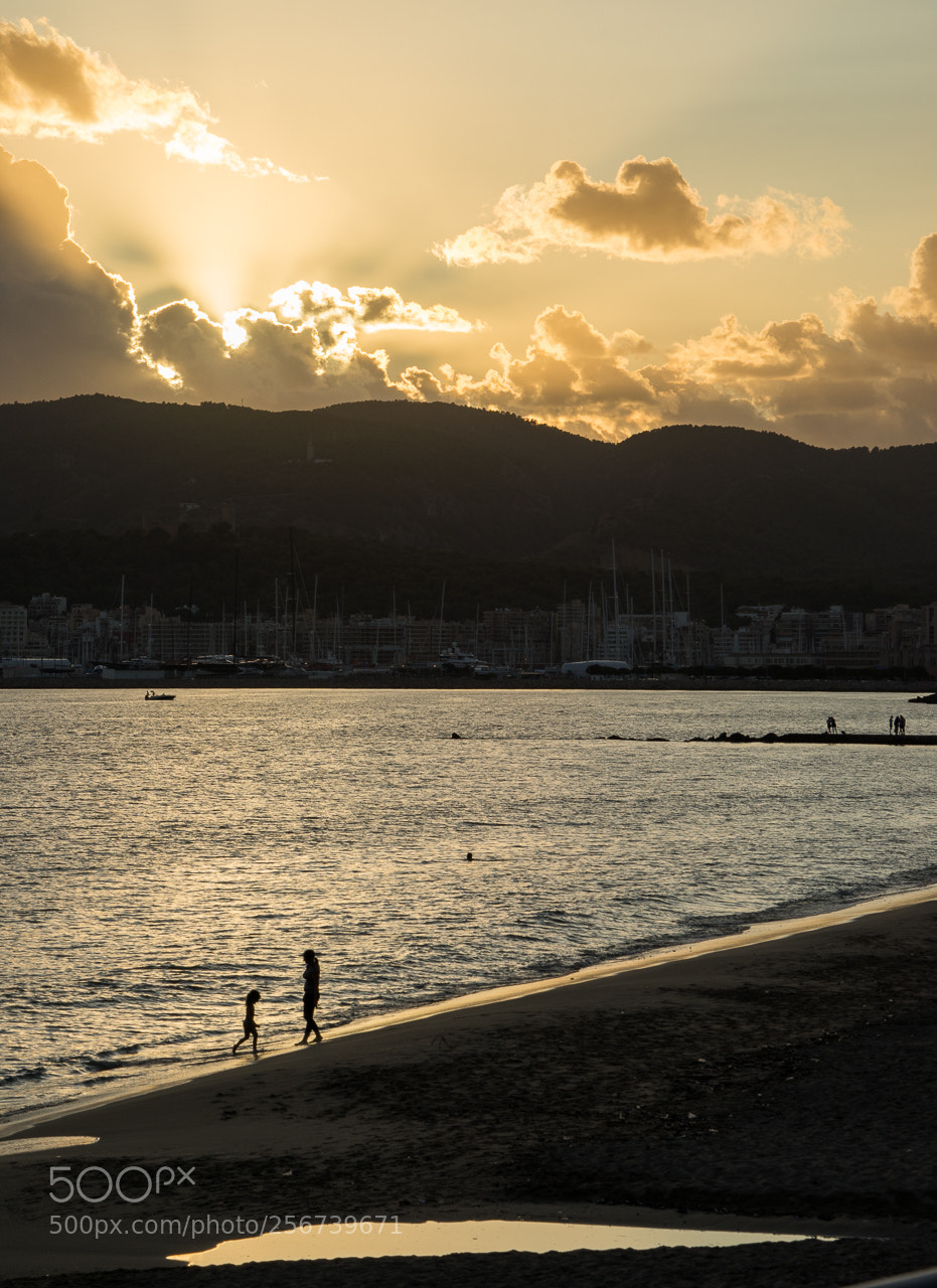 Sony a7R sample photo. Testing the water photography