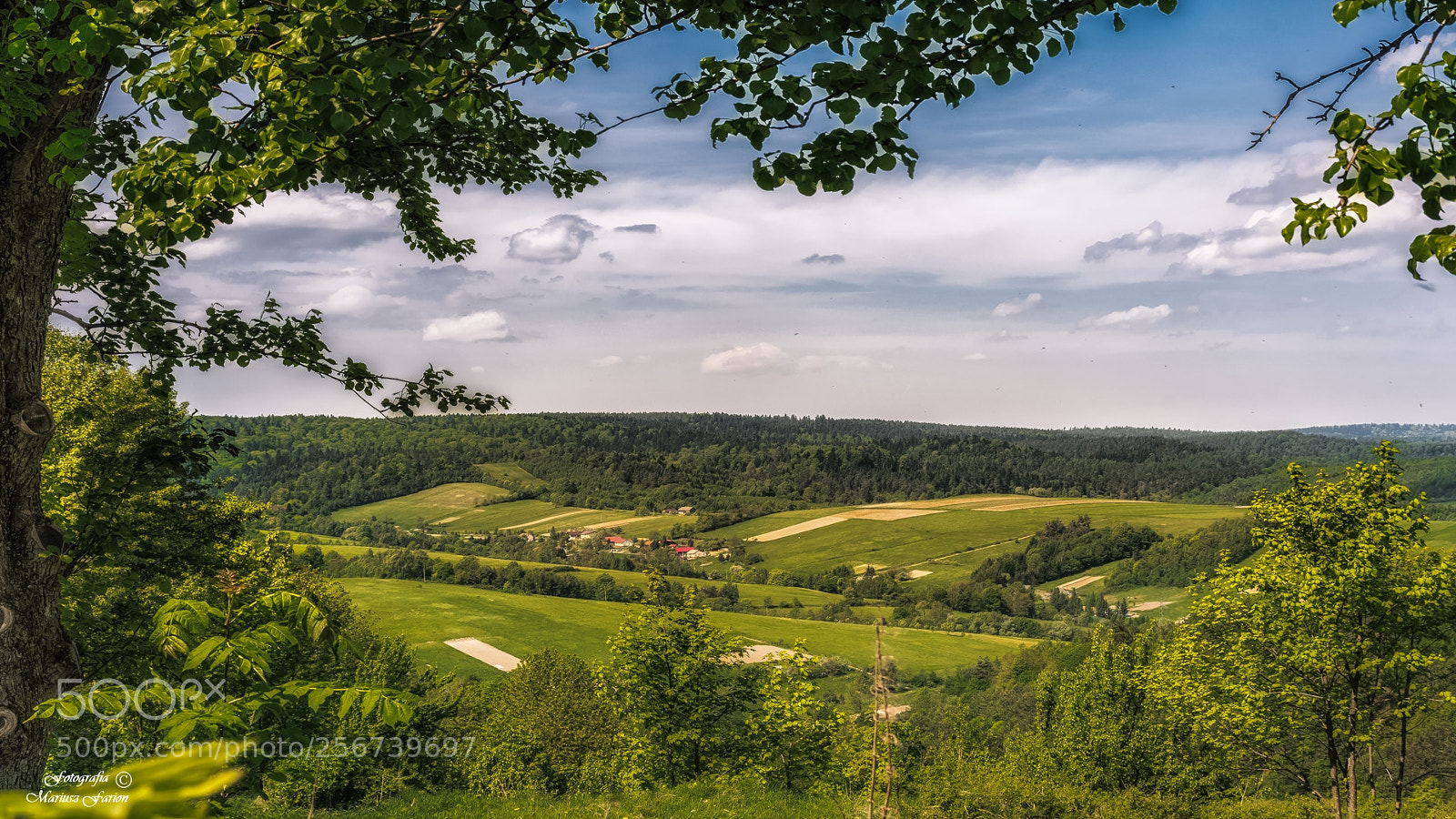 Nikon D7200 sample photo. Przestrzeń photography