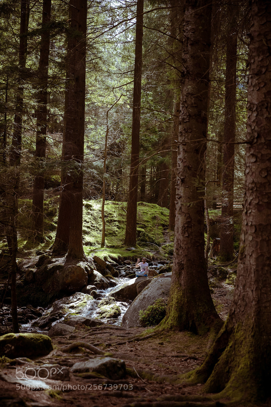Canon EOS 5DS R sample photo. Wood's meditation photography