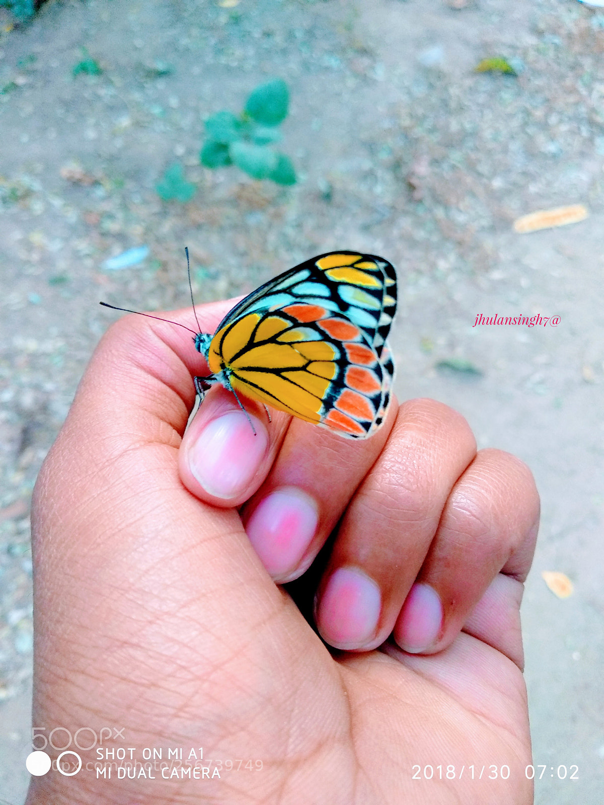 Xiaomi Mi A1 sample photo. Untitled photography