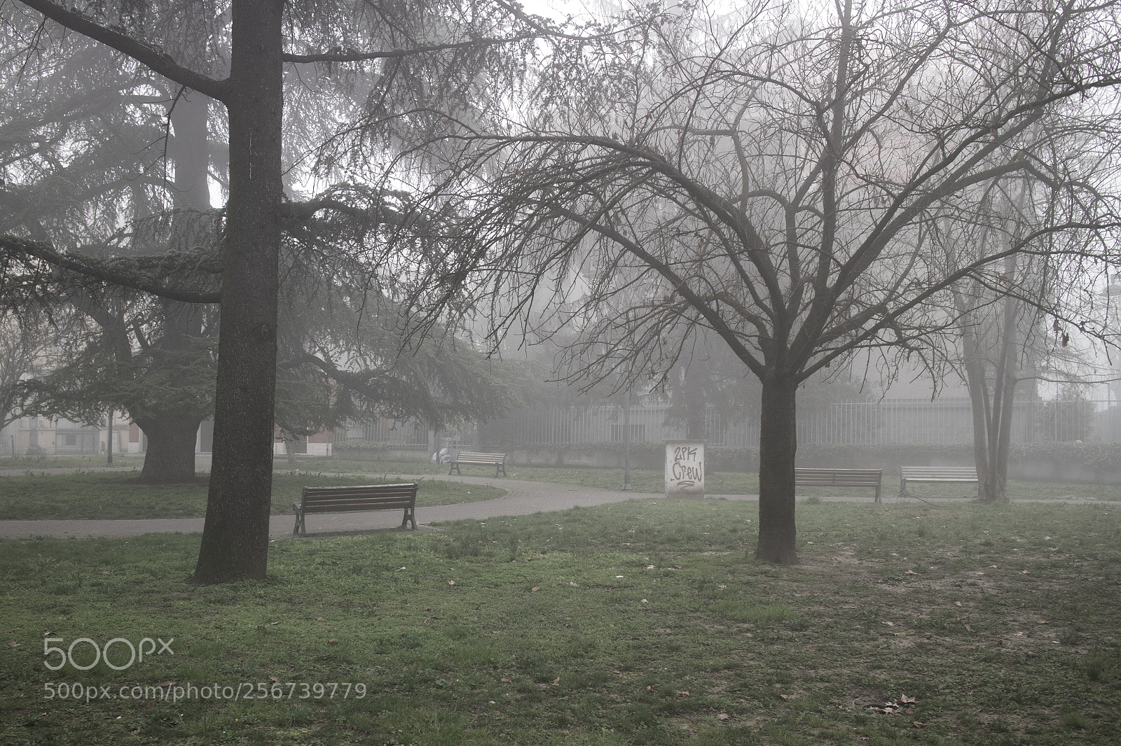 Canon EOS M10 sample photo. Fog park photography