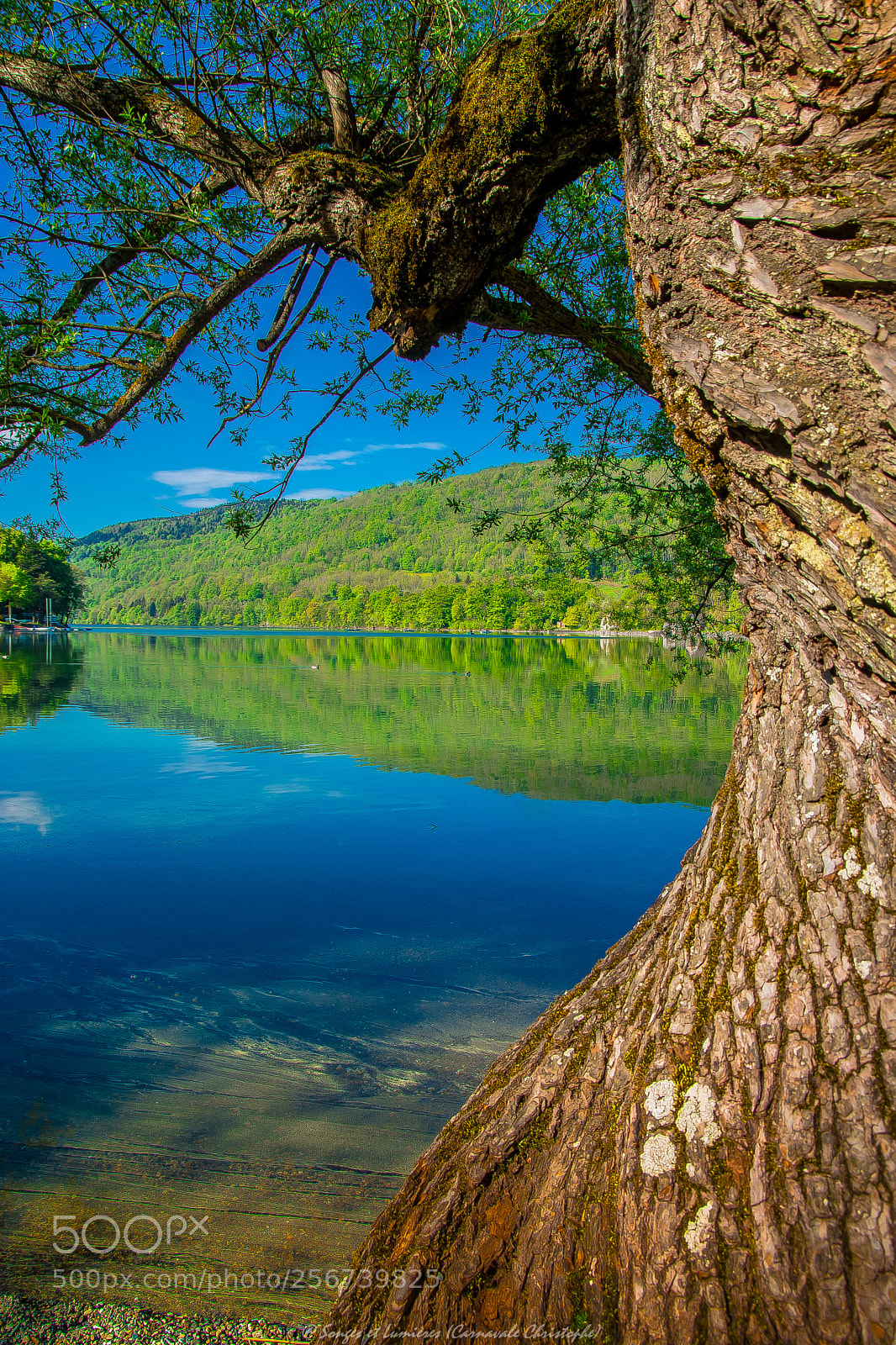 Nikon D7100 sample photo. Lac insolite photography