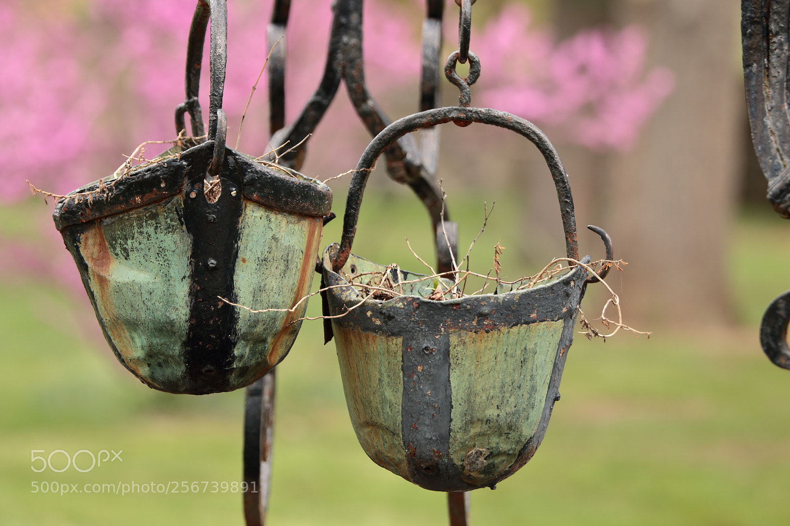 Canon EOS 70D sample photo. Well buckets photography