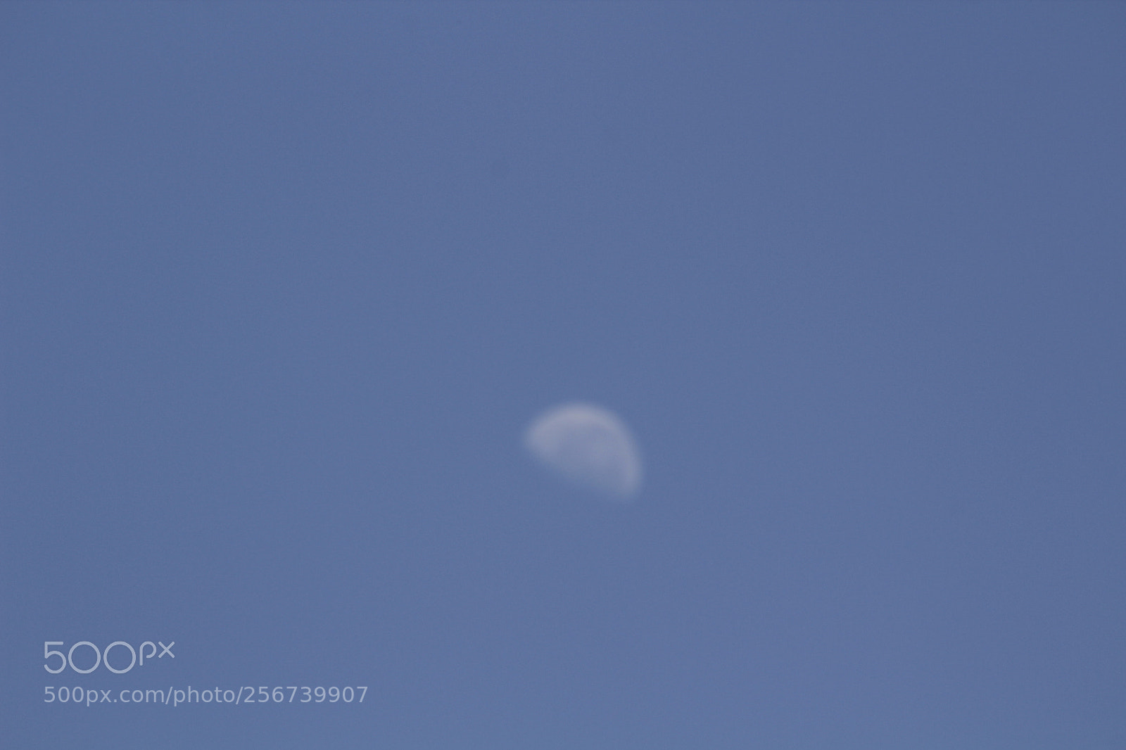 Canon EF 75-300mm f/4-5.6 sample photo. Mg photography