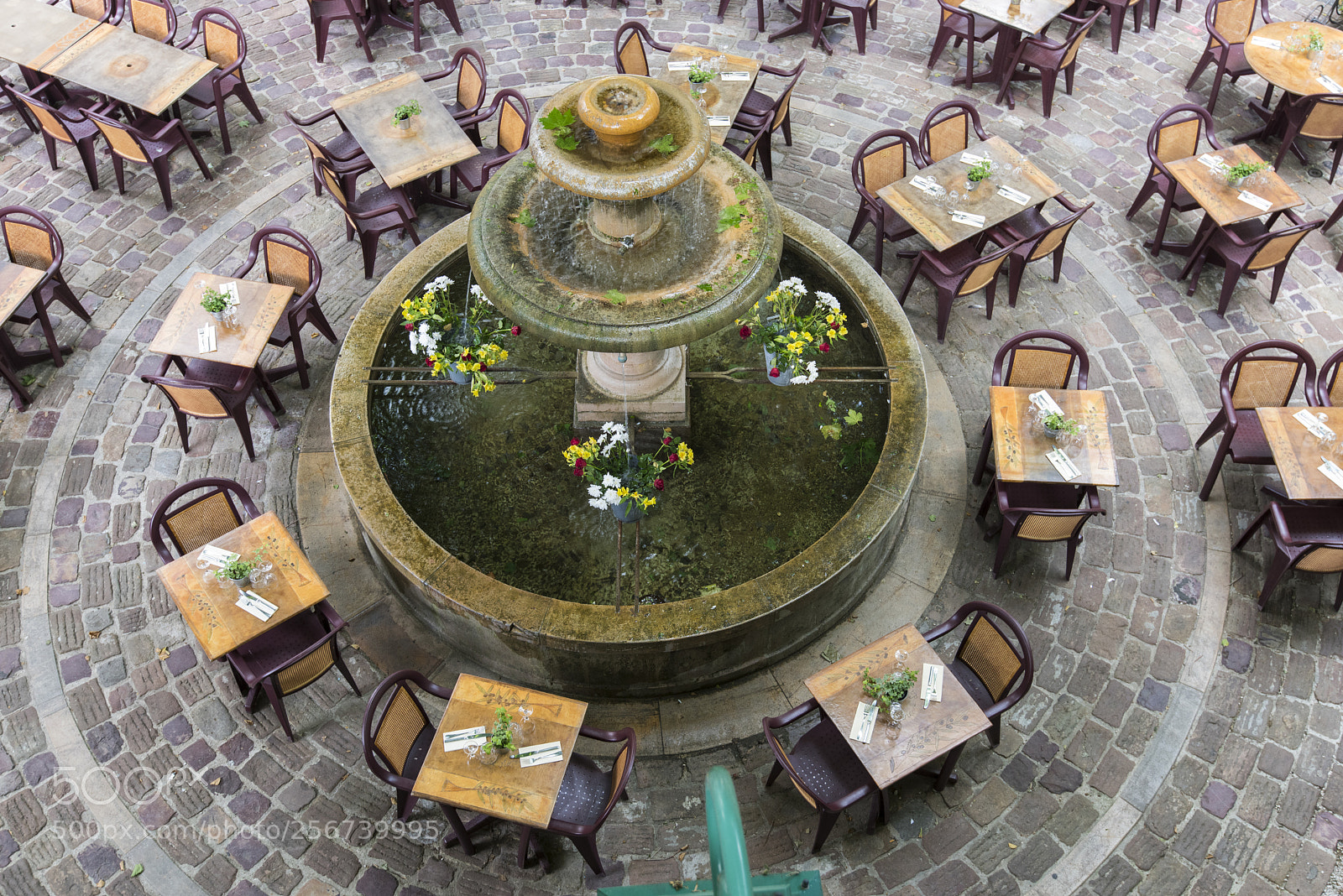 Nikon D810 sample photo. Eating in circle photography