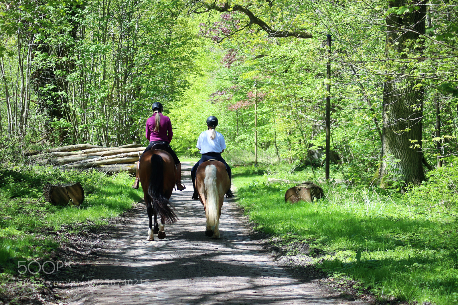 Canon EOS 100D (EOS Rebel SL1 / EOS Kiss X7) sample photo. Riding in the wood photography