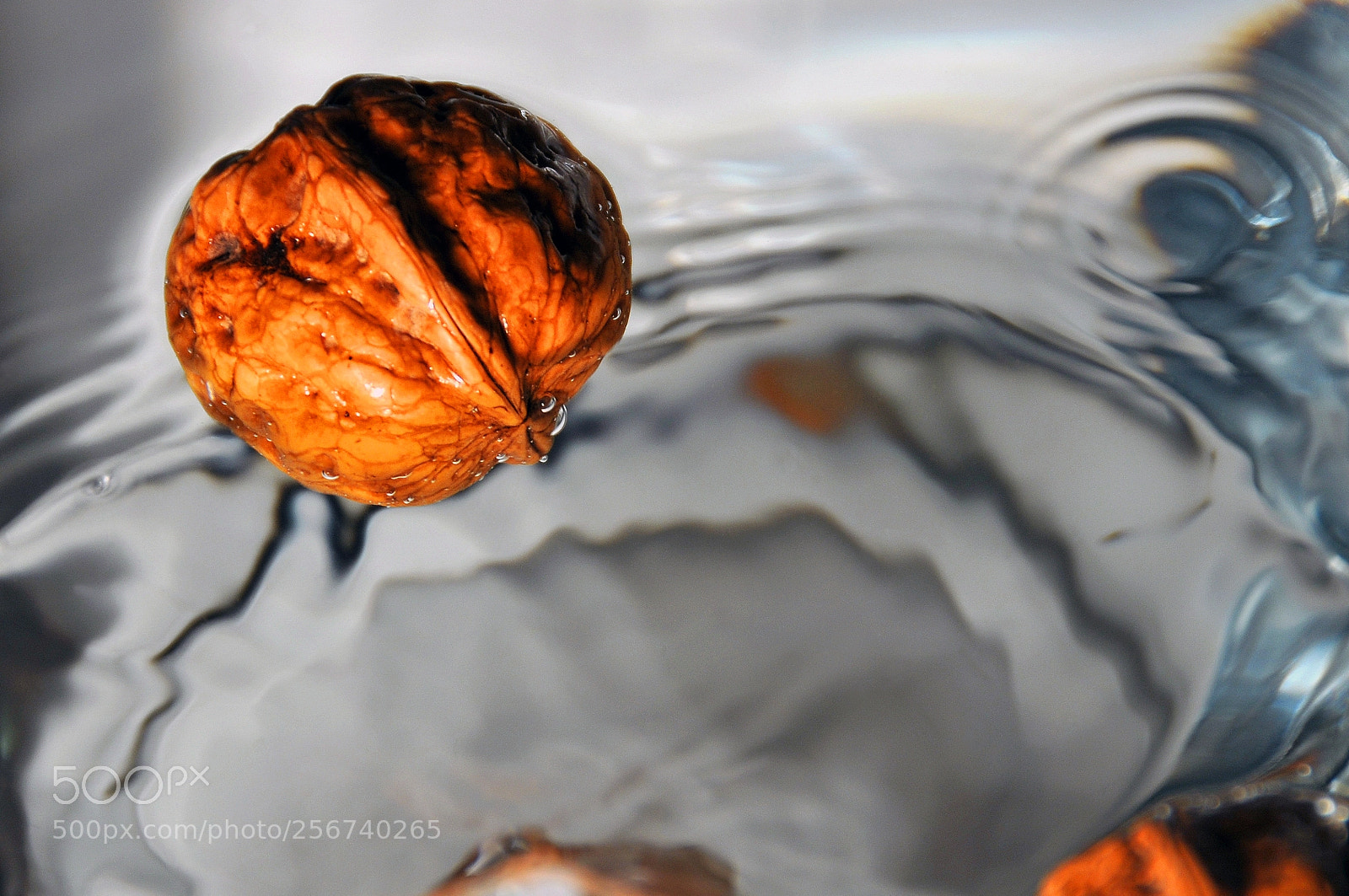 Nikon D300 sample photo. Watery nuts photography