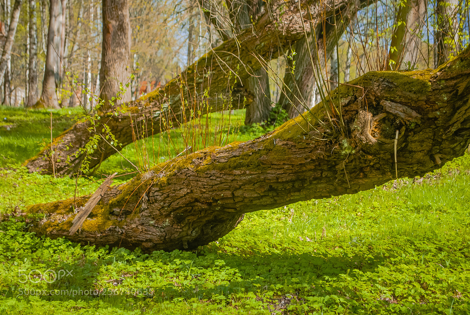 Nikon D60 sample photo. Beautiful scape! photography