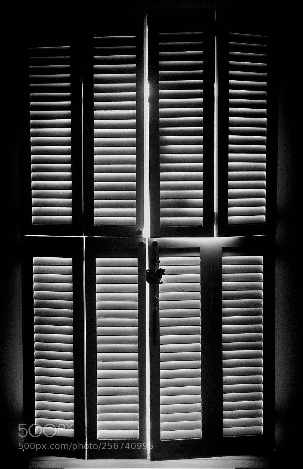 Apple iPhone 6 Plus sample photo. “sunlight, shuttered” photography