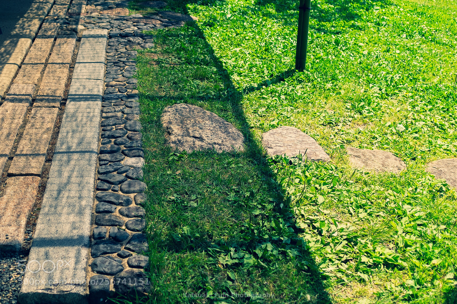 Olympus OM-D E-M1 sample photo. Grass,stone,shade photography