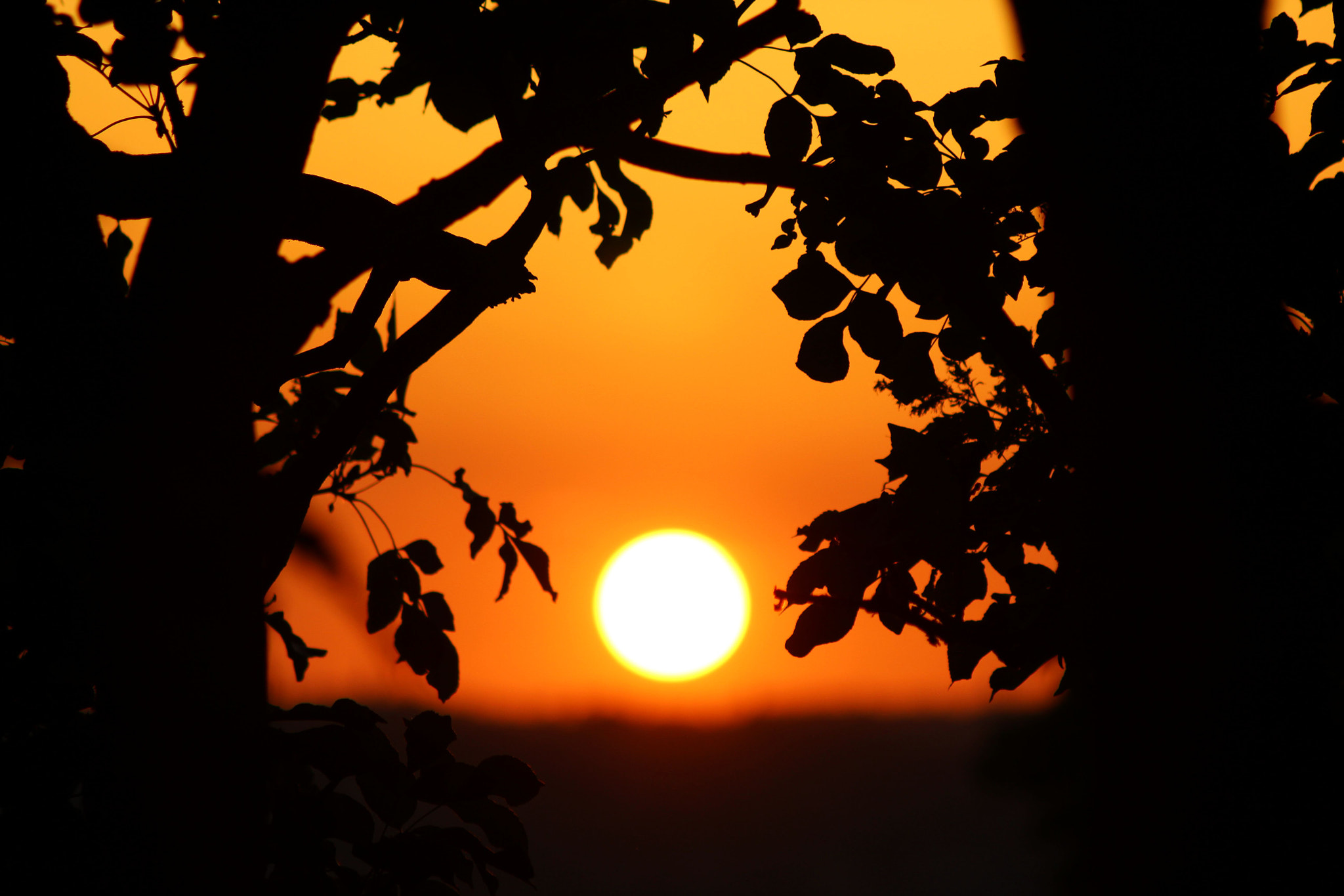 Canon EF 50-200mm f/3.5-4.5 sample photo