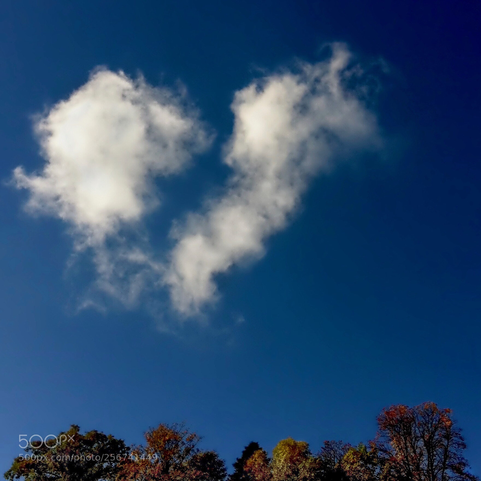 Apple iPhone 4 sample photo. Love is in the photography